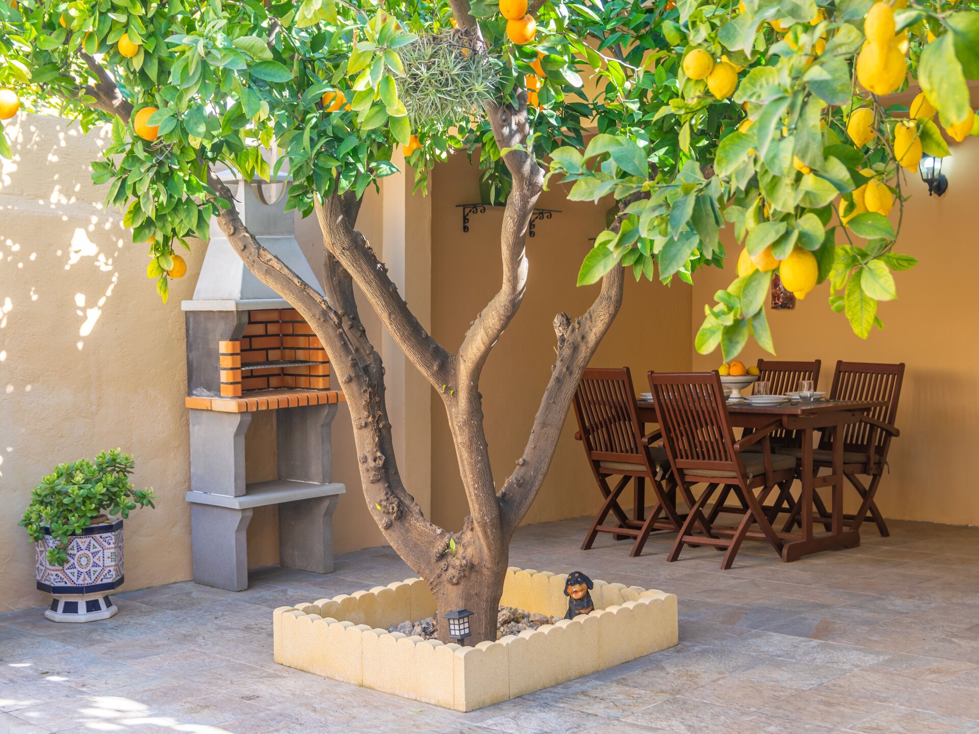 Juniper (inca) - foto 42