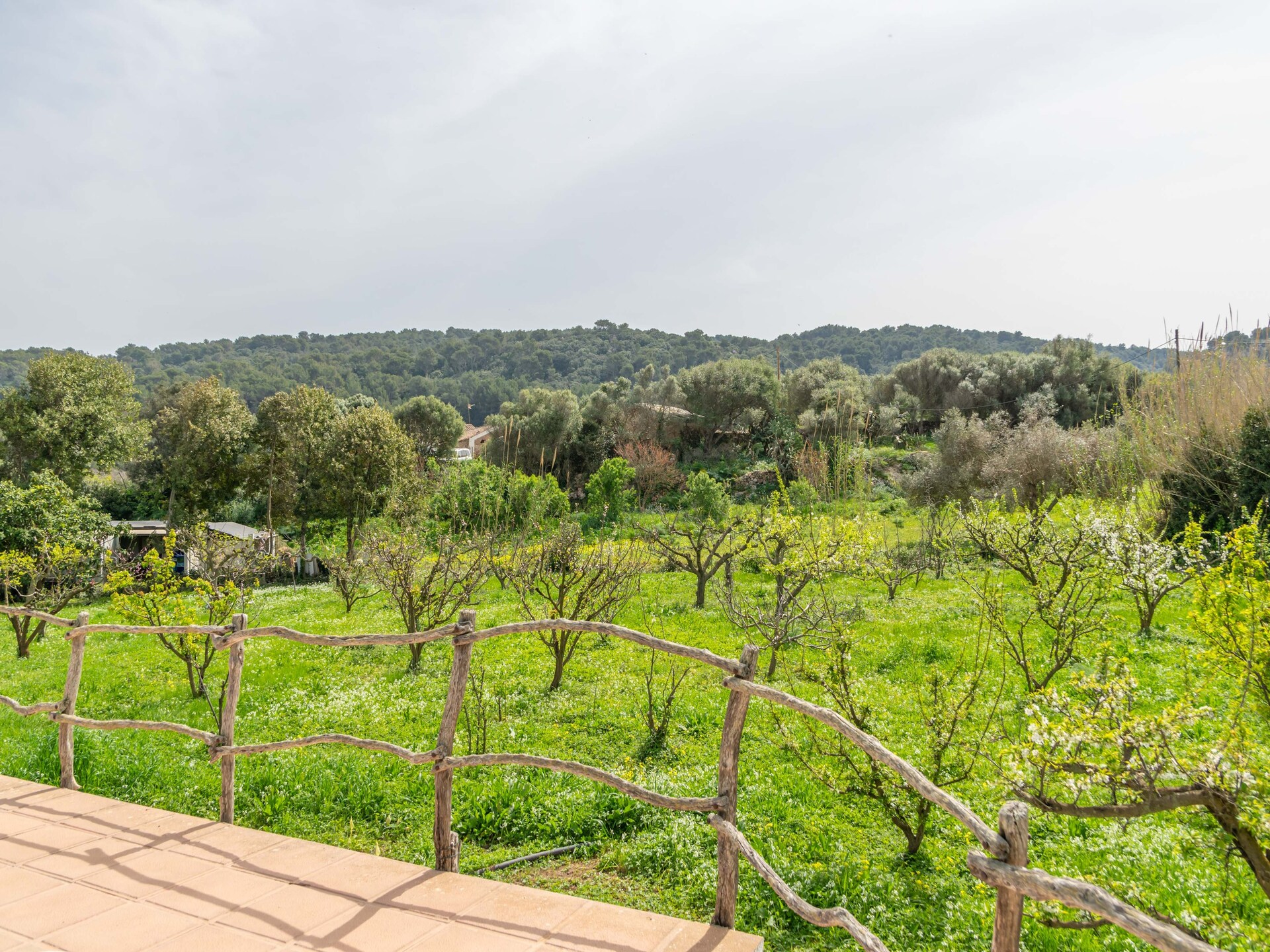 Casa Dina: Intieme finca met privézwembad bij Es Mercadal, Menorca - foto 41
