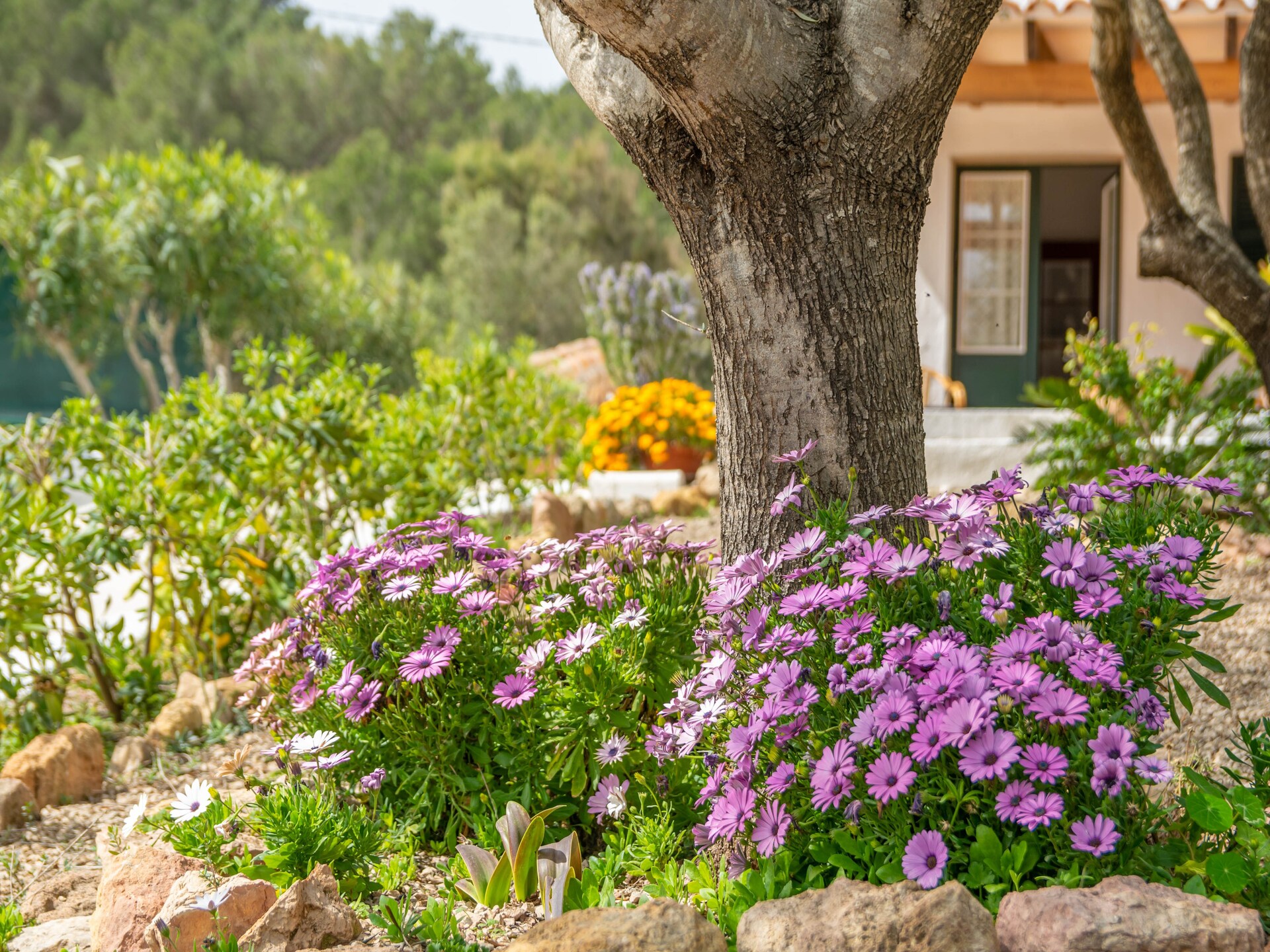 Casa Dina: Intieme finca met privézwembad bij Es Mercadal, Menorca - foto 43