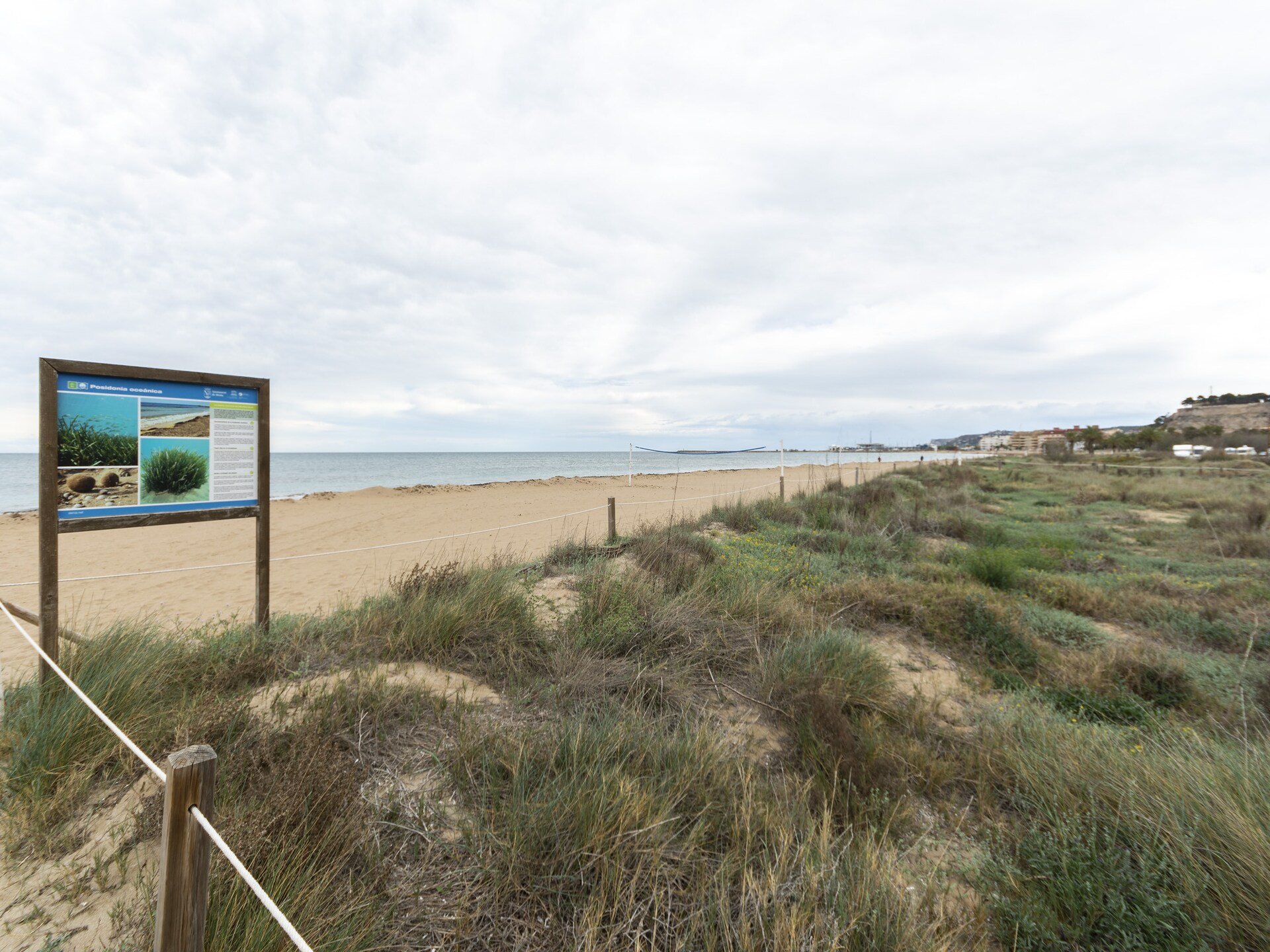 Appartement Les Gavines: 4 personen, 2 slaapkamers aan strand Les Marines - foto 25