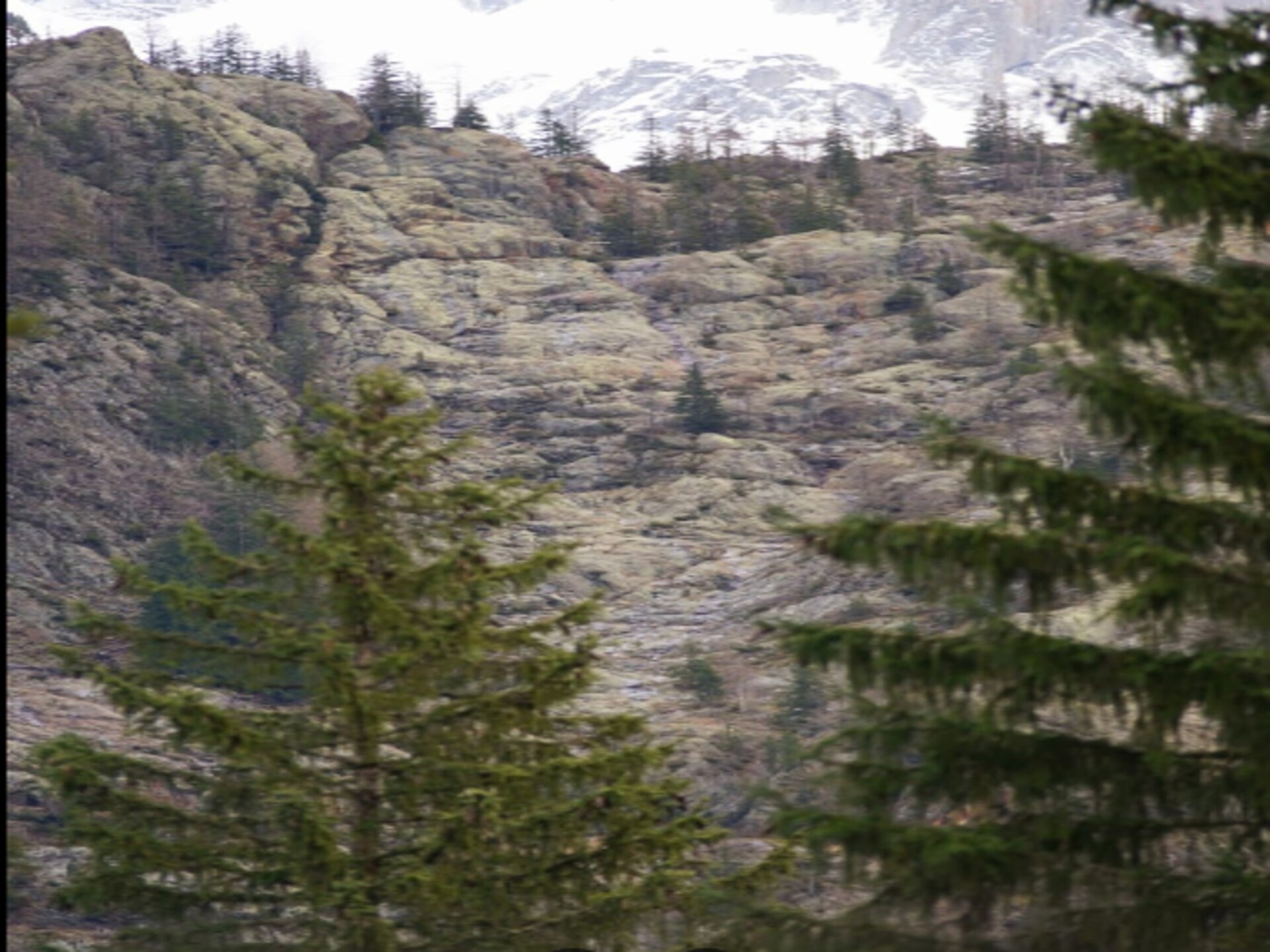 Knus appartement voor 5 in Chamonix met uitzicht op de Mont Blanc - foto 35