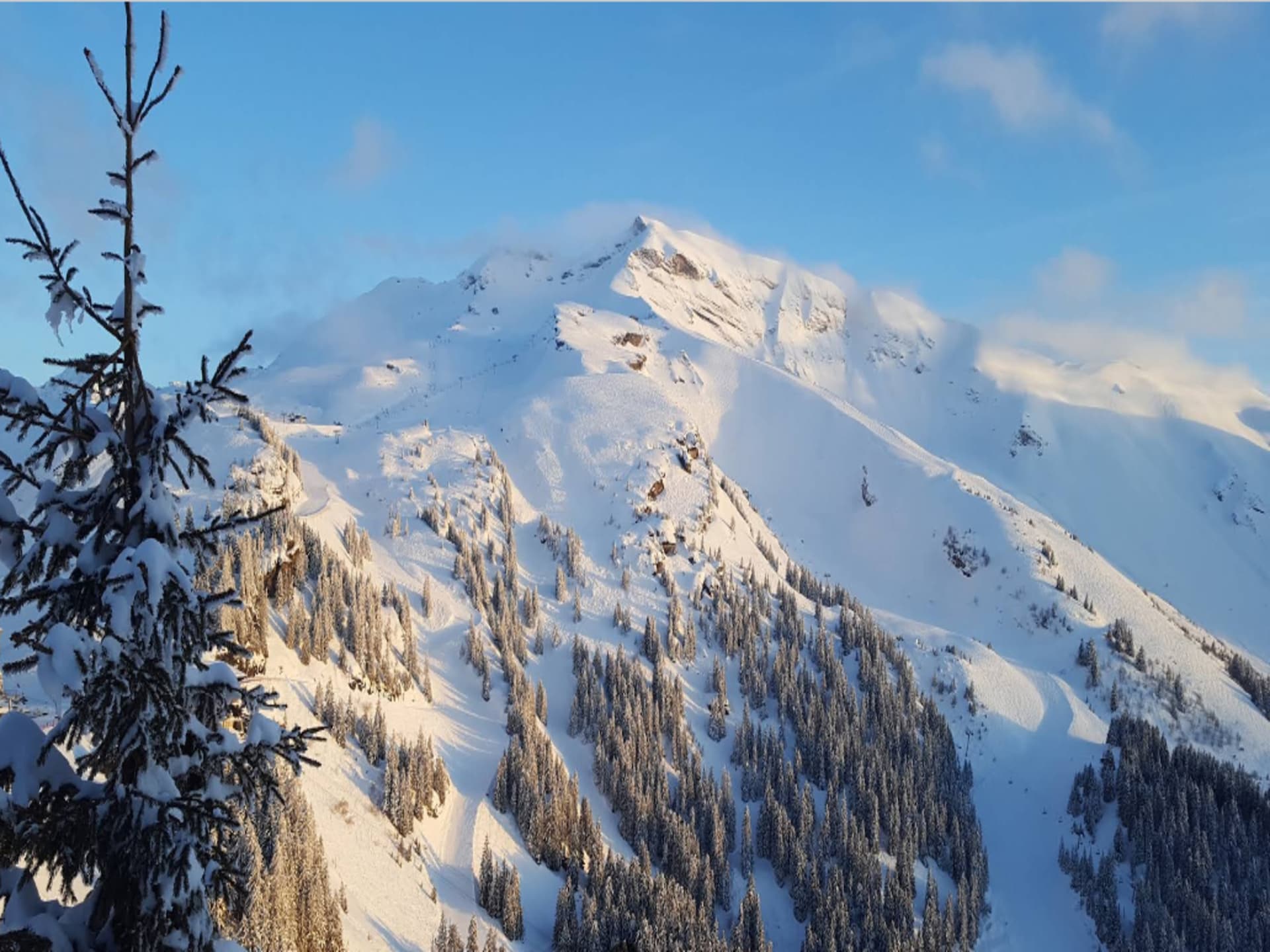 Knus appartement voor 4 personen in Avoriaz, ski-in/ski-out met balkon - foto 31