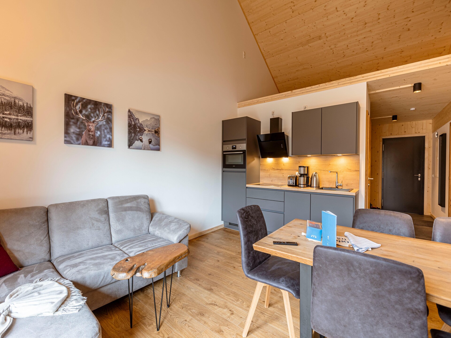 Piste-appartement voor 5 personen met hond aan de Kreischberg - foto 8