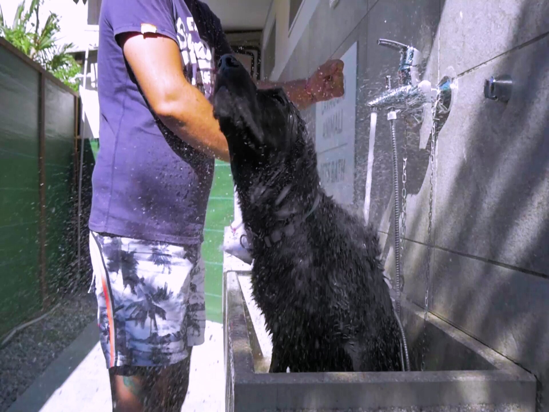 Stacaravan bij Gardameer met 2 badkamers op familiecamping San Benedetto - foto 28