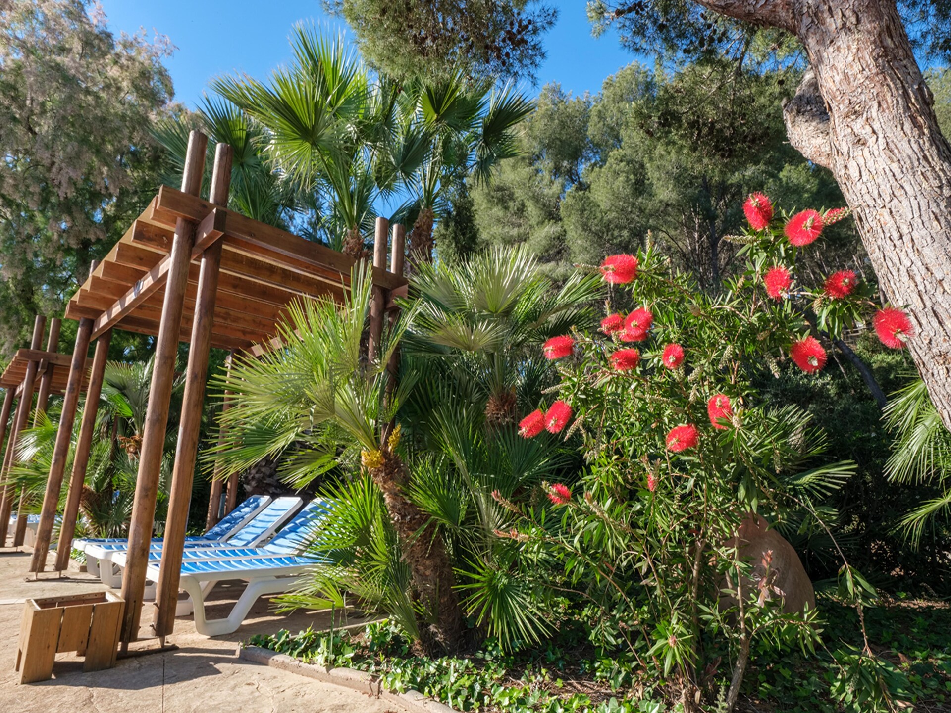 Luxe tent voor 4 personen aan het strand in Tarragona - foto 29