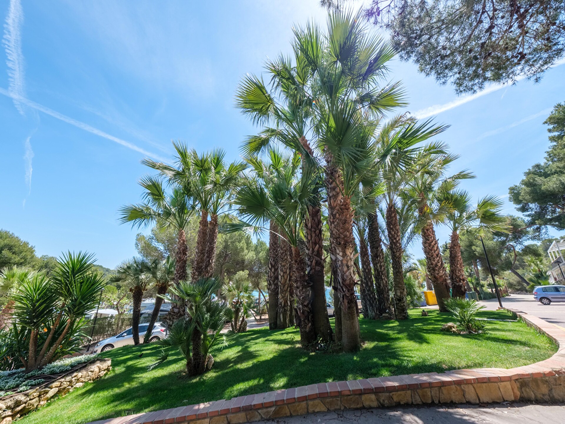 Luxe tent voor 4 personen aan het strand in Tarragona - foto 40