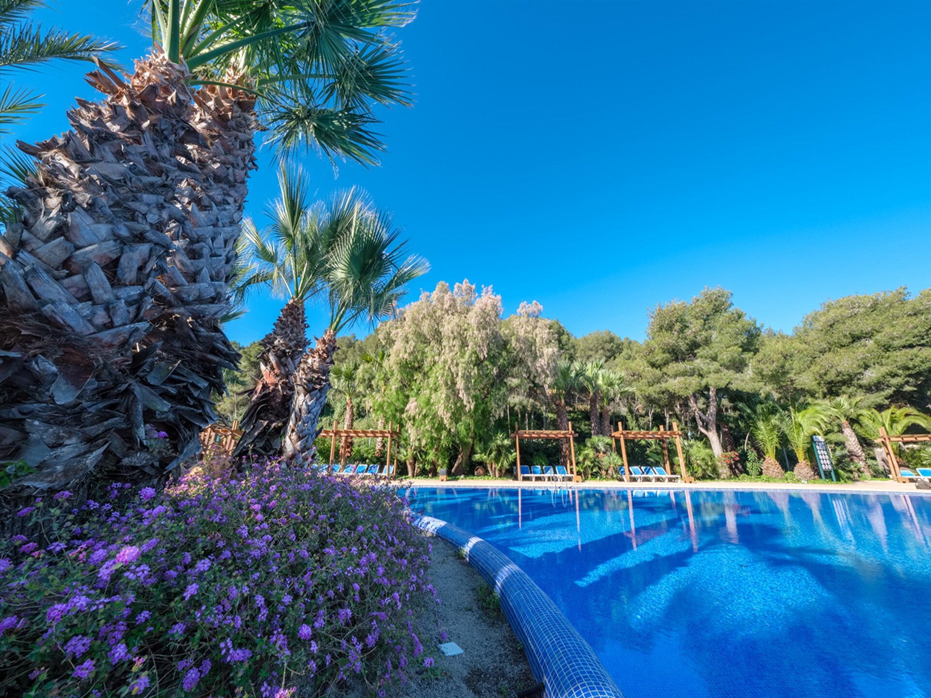Luxe tent voor 4 personen aan het strand in Tarragona - foto 26