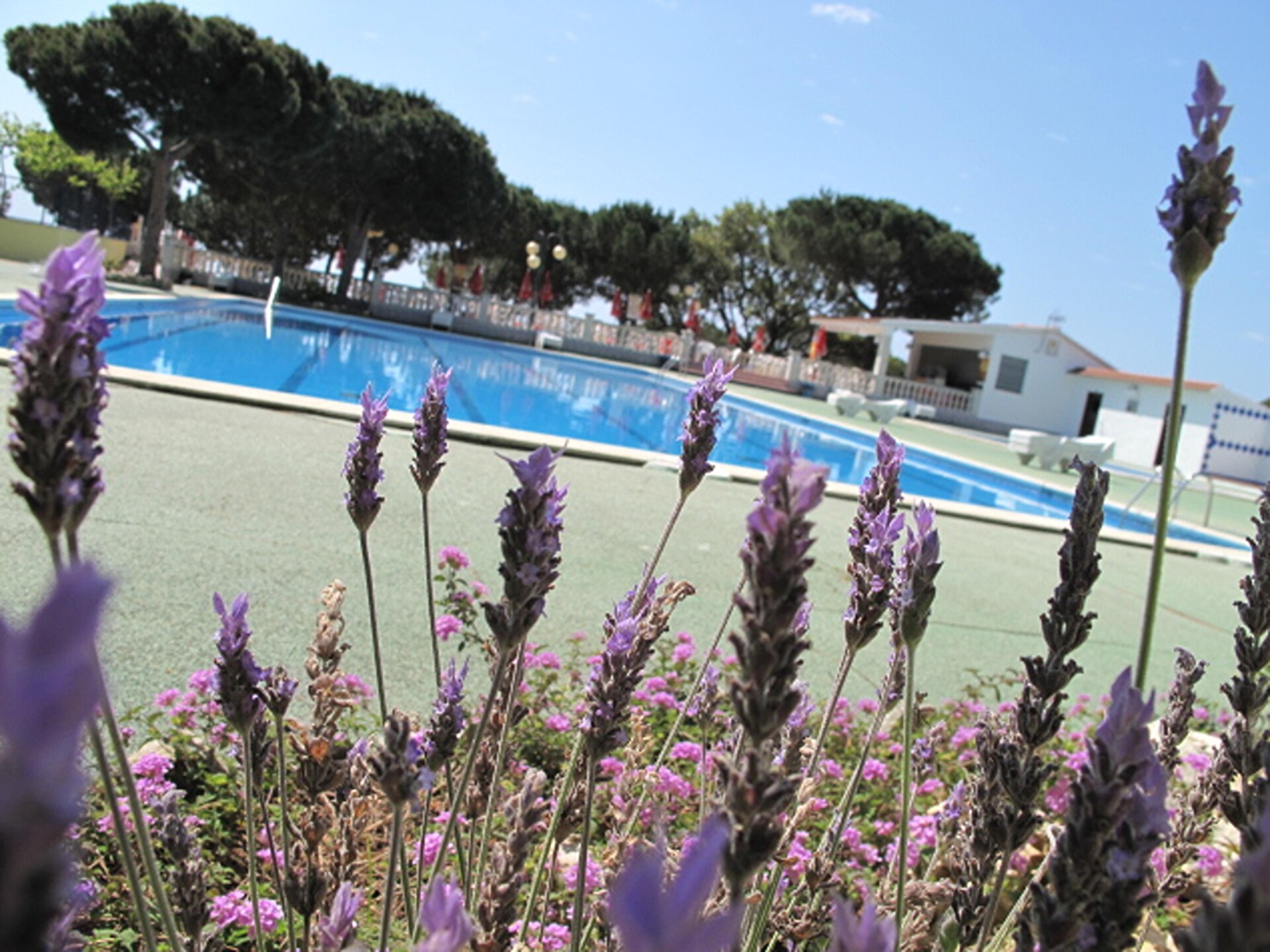 Camping Rocagrossa: Gezellige bungalow op 50m van het strand in Calella - foto 12