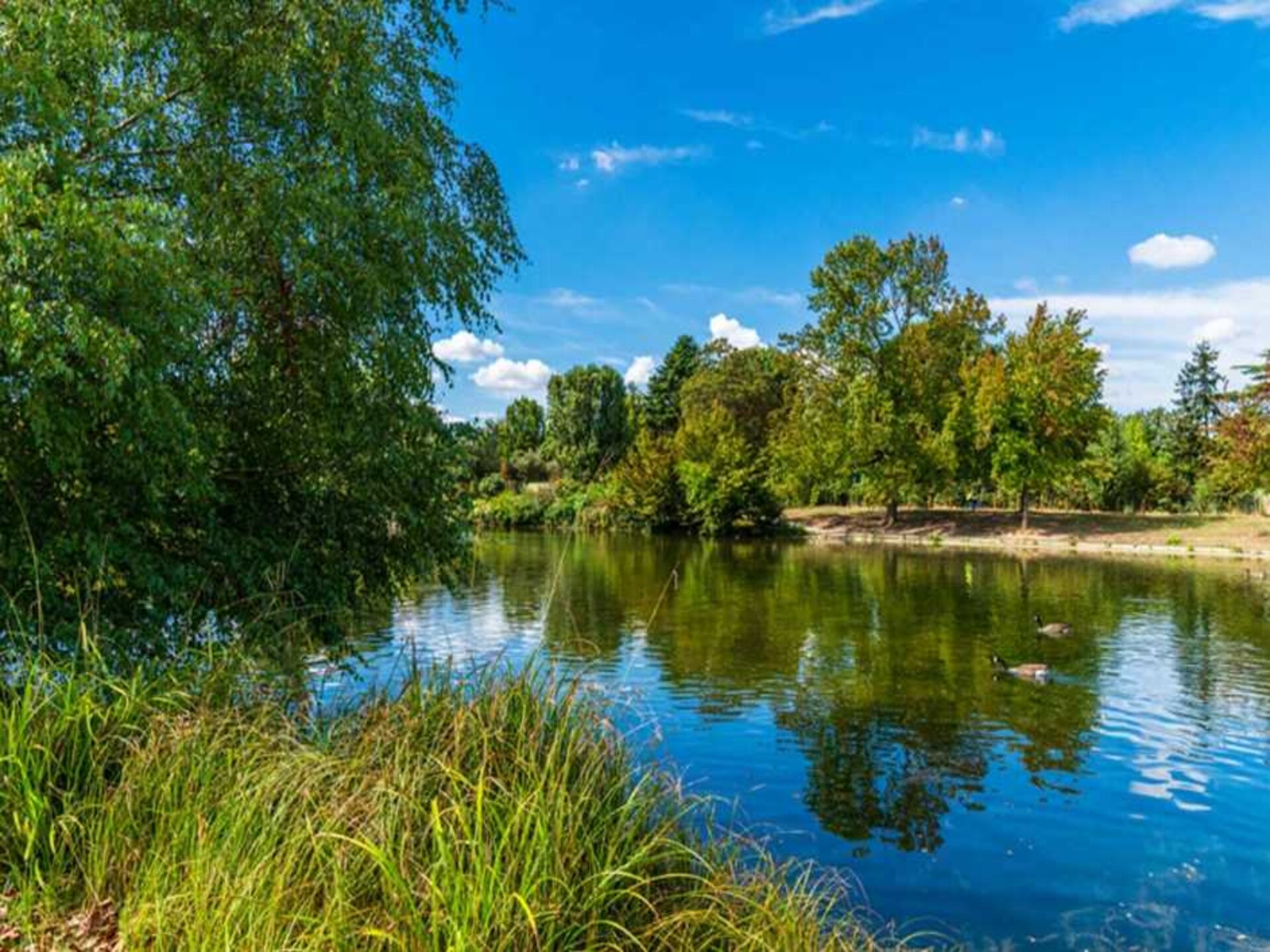 Elegant appartement in het 16e arrondissement nabij Bois de Boulogne - foto 16