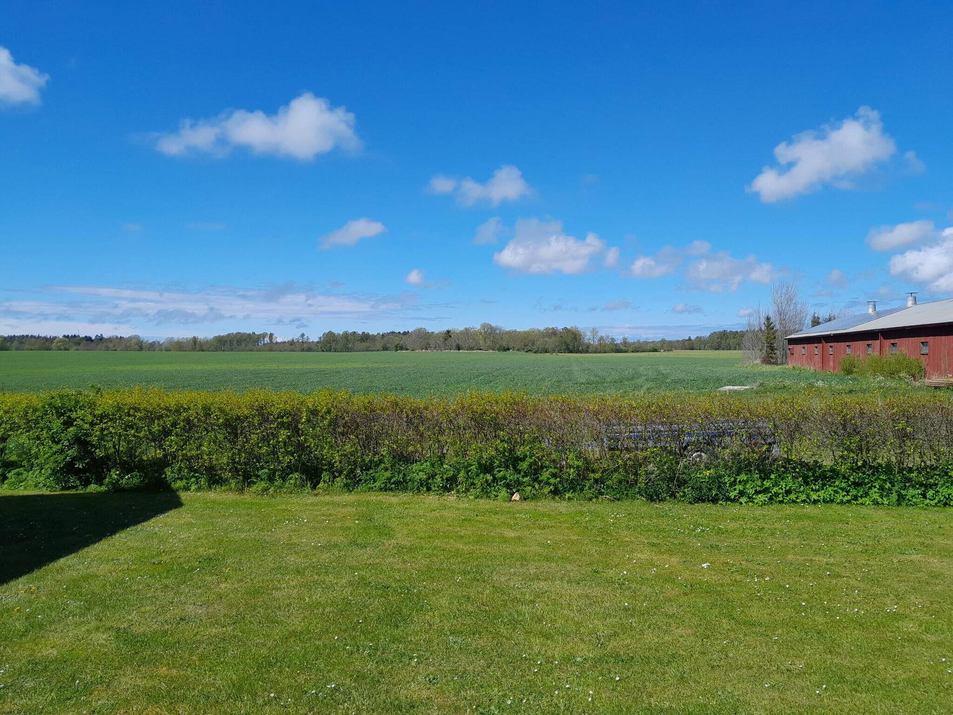 Authentiek 18e-eeuws stenen huis op biologische boerderij bij Tofta strand - foto 6
