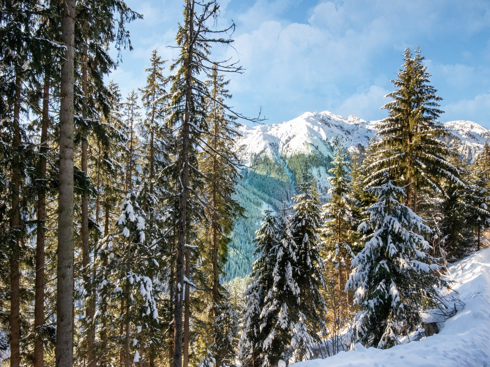 Zonnig appartement met dakterras in Ramsau, vlakbij Mayrhofen - foto 39