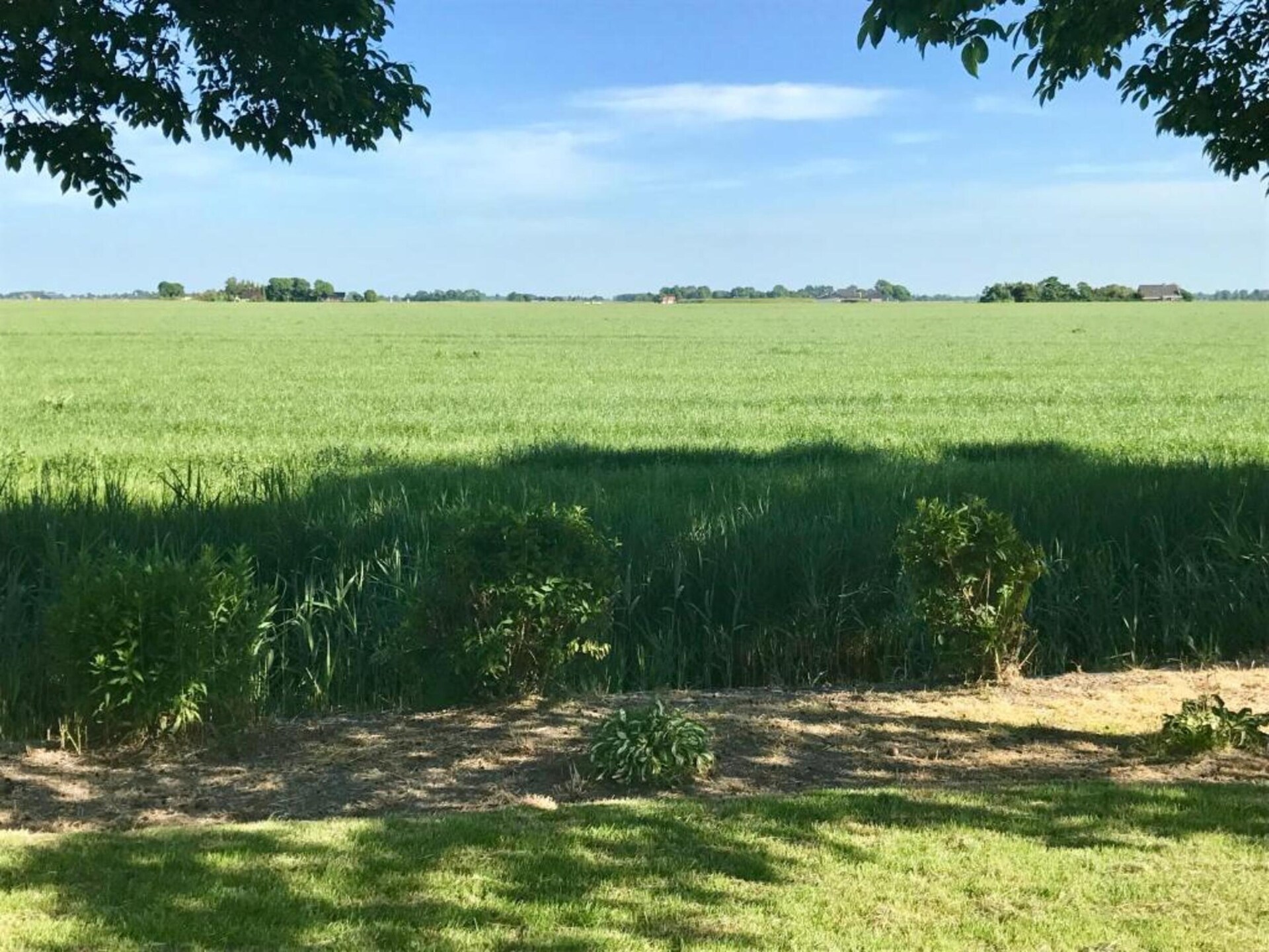 Knus vakantiehuis met watervlakte en Wadden-uitzicht in Tzummarum - foto 30