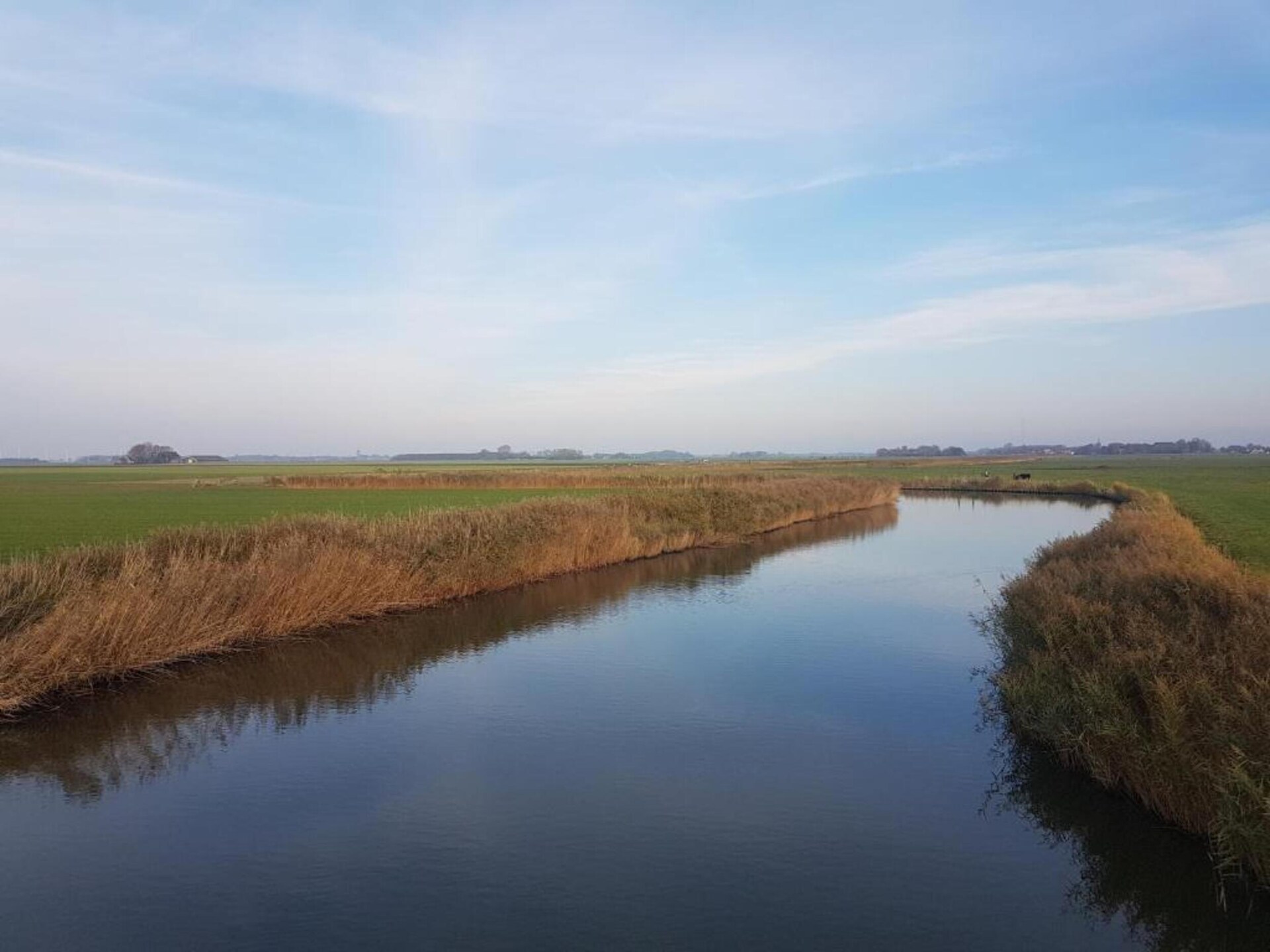 Knus vakantiehuis met watervlakte en Wadden-uitzicht in Tzummarum - foto 21