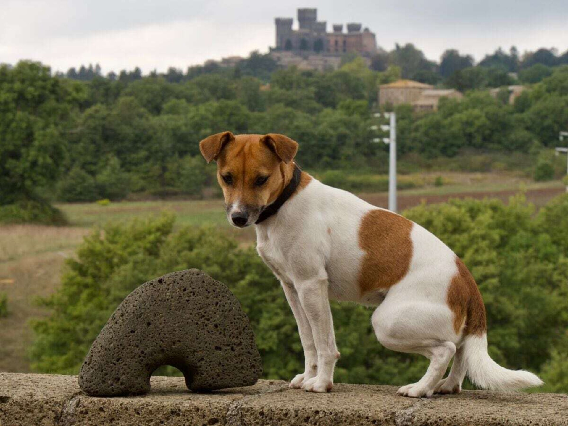 Authentiek vakantiehuis op heuvel bij Torre Alfina met panoramisch uitzicht - foto 8