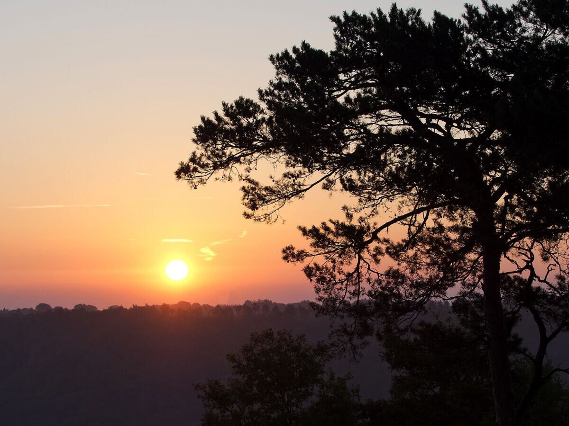 Authentiek vakantiehuis op heuvel bij Torre Alfina met panoramisch uitzicht - foto 10