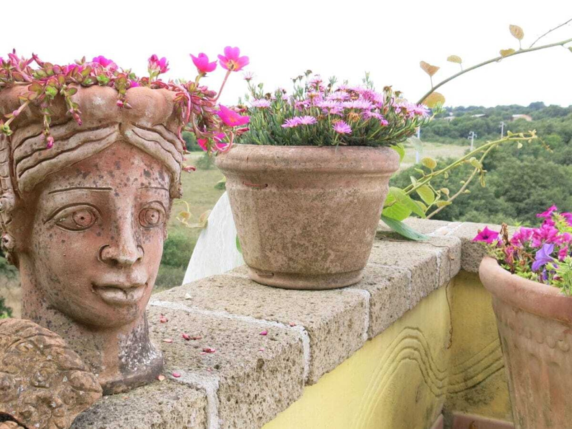 Authentiek vakantiehuis op heuvel bij Torre Alfina met panoramisch uitzicht - foto 19