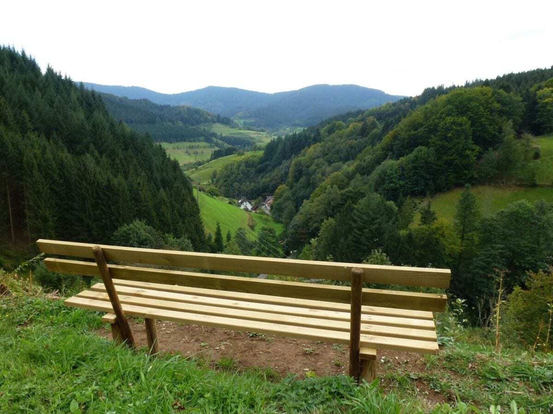 Modern appartement met overdekt terras en ligweide nabij Bad Peterstal - foto 22