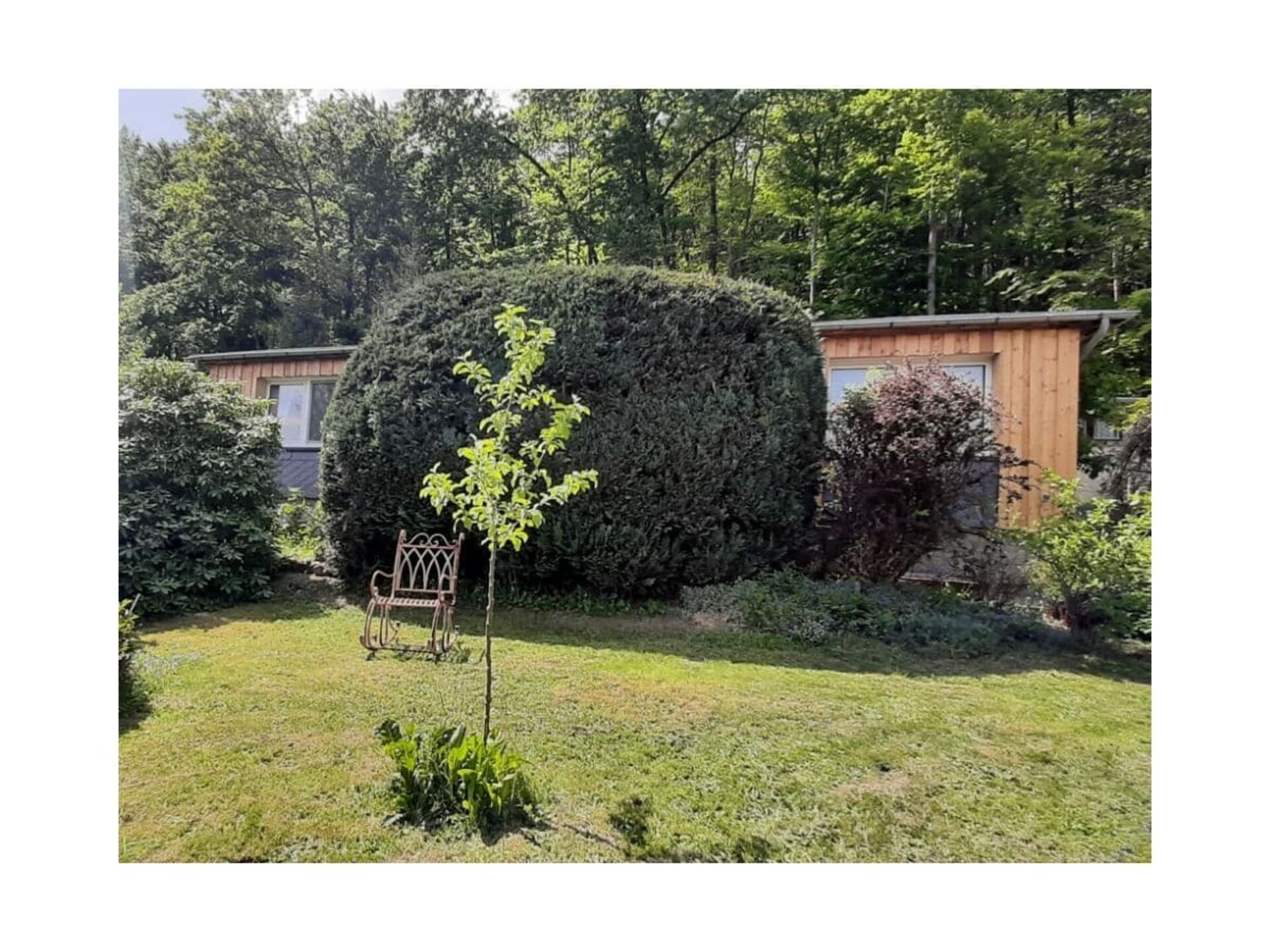 Knus vakantiehuis voor 3 personen aan de rand van Nationaal Park Harz in Ilsenburg - foto 5