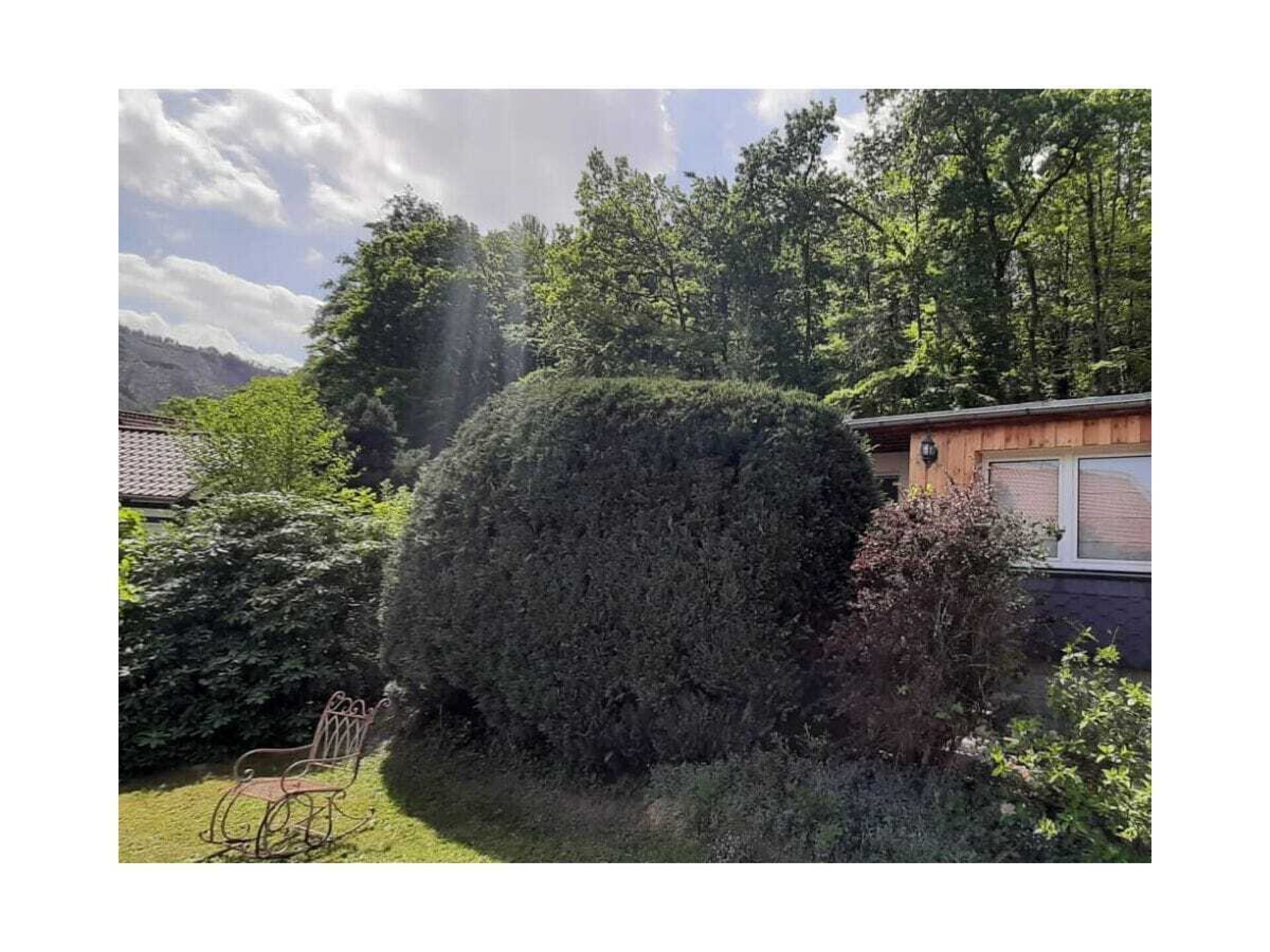 Knus vakantiehuis voor 3 personen aan de rand van Nationaal Park Harz in Ilsenburg - foto 7