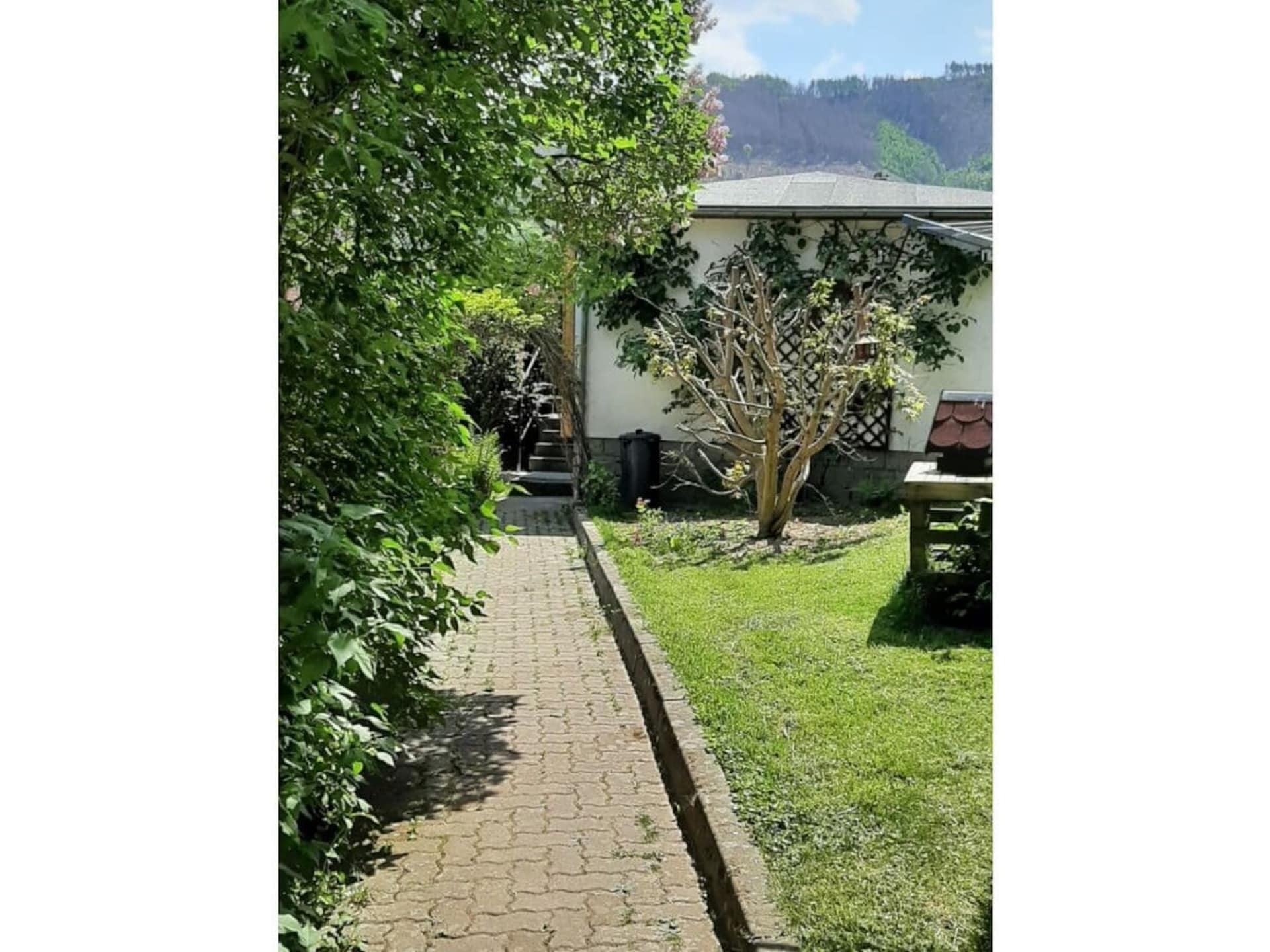 Knus vakantiehuis voor 3 personen aan de rand van Nationaal Park Harz in Ilsenburg - foto 8