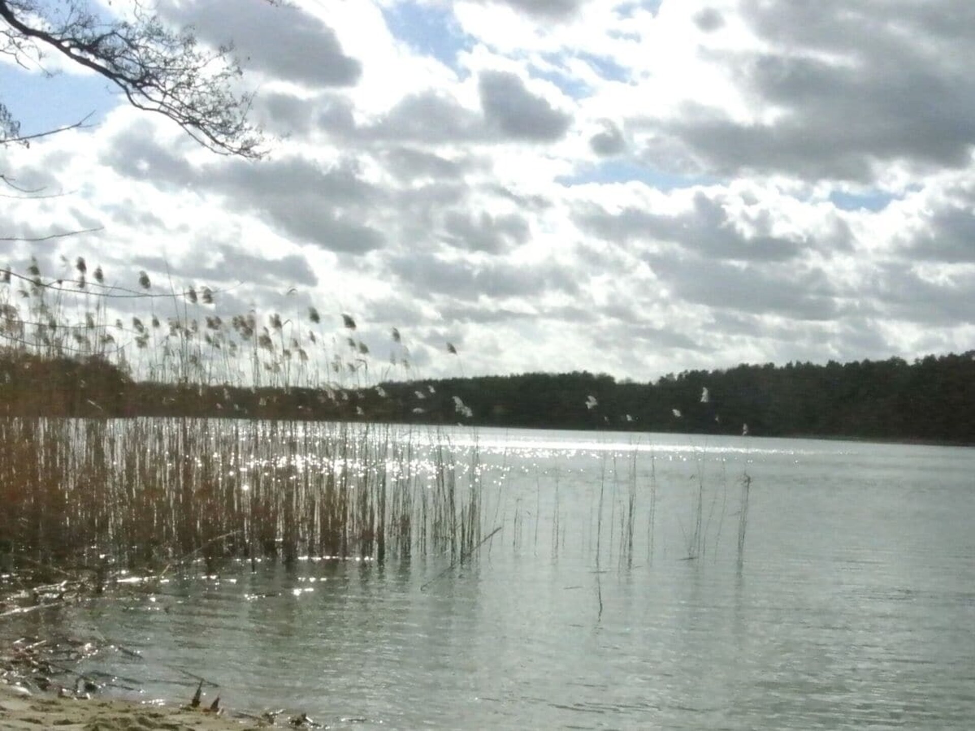 Luxe villa aan Großer Lychen-meer met privé sauna en waterrecreatie - foto 1