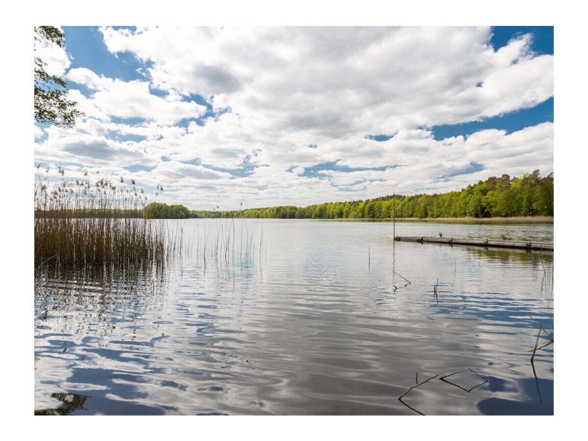 Luxe villa aan Großer Lychen-meer met privé sauna en waterrecreatie - foto 9