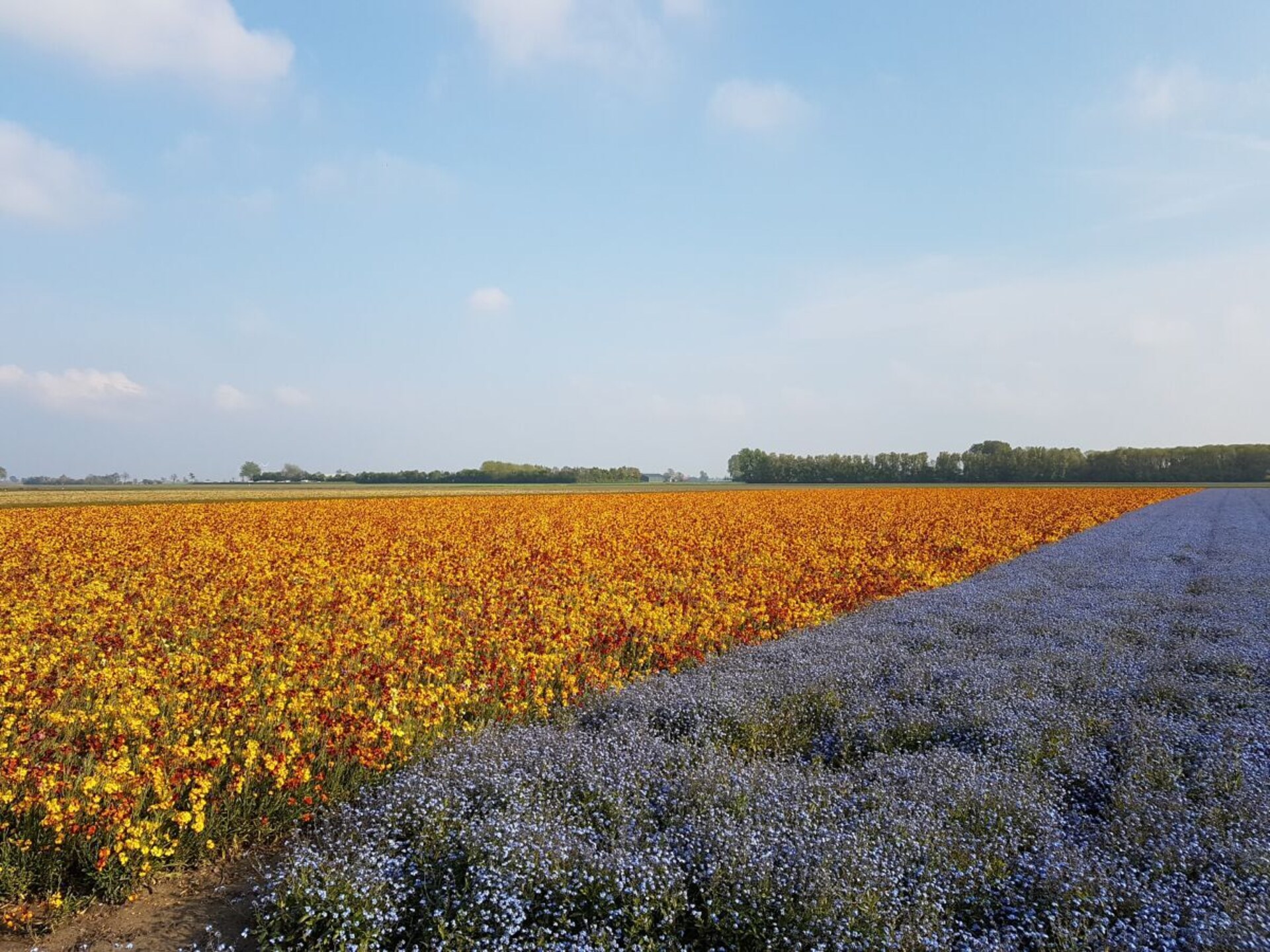 Modern vakantiehuis met haard en tuin in Bruinisse, Zeeland - foto 31