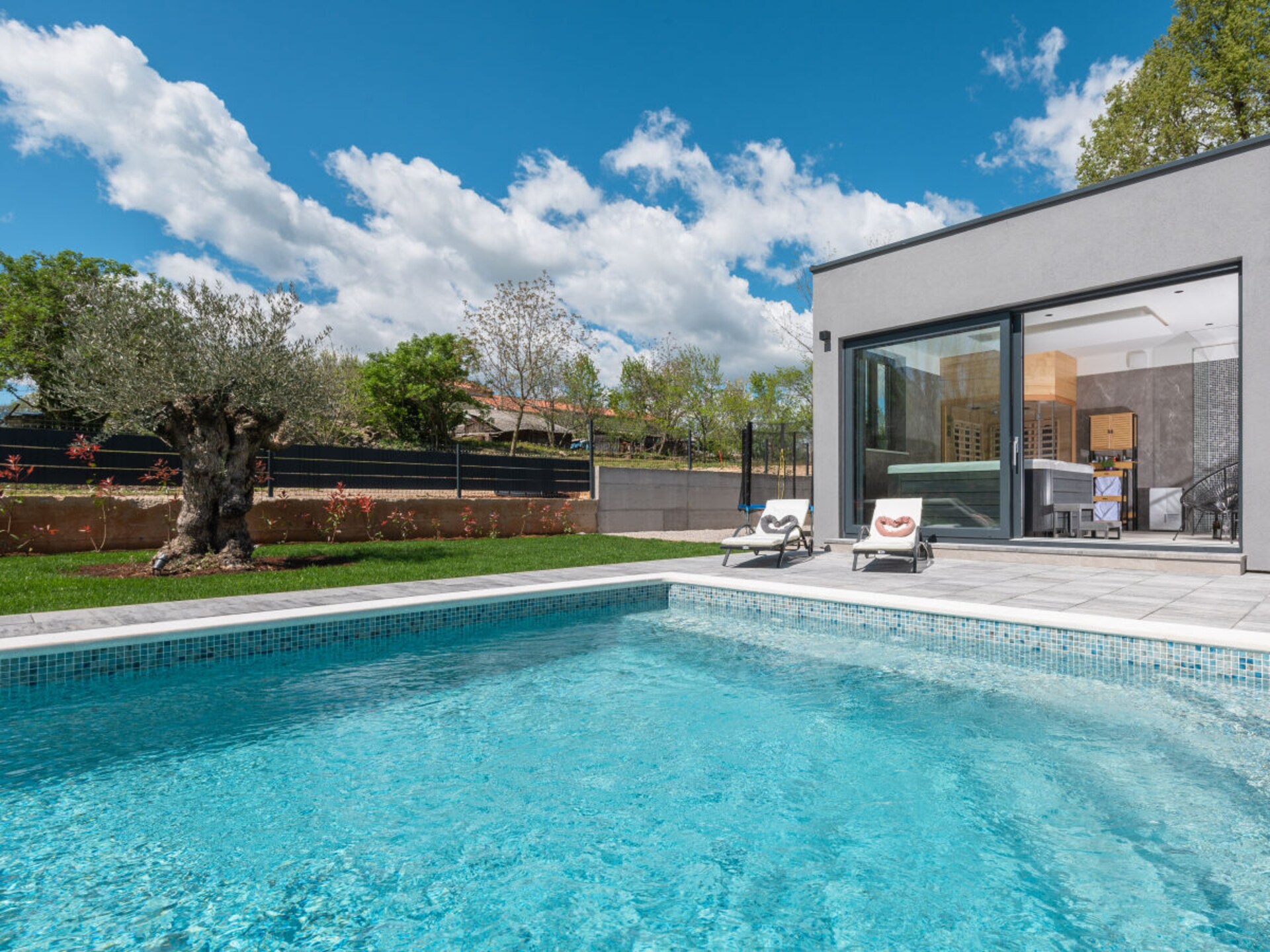 Villa Alison in Županići: privé wellness met verwarmd zwembad en sauna - foto 60