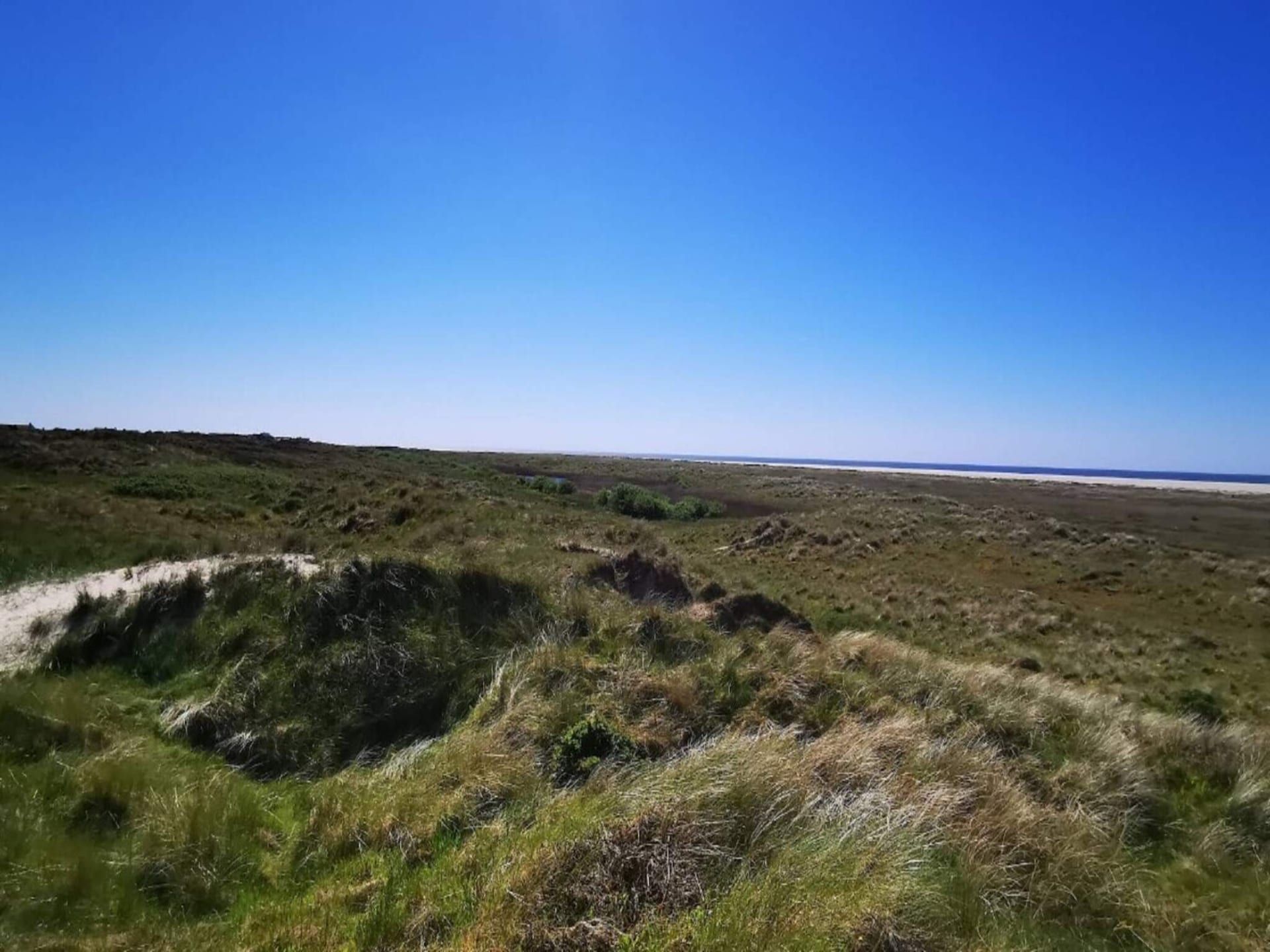 Vrijstaand vakantiehuis voor 2 aan de golfbaan, 200m van het strand van Fanø - foto 9