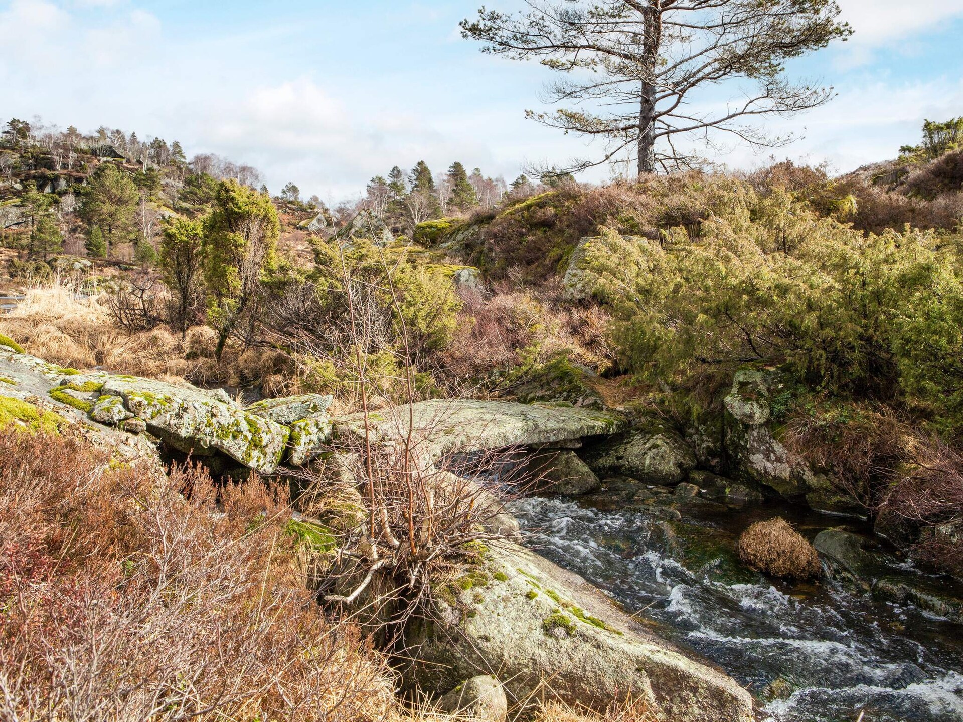 Traditioneel vakantiehuis Beritbu met panoramisch uitzicht bij Lyngdal - foto 10
