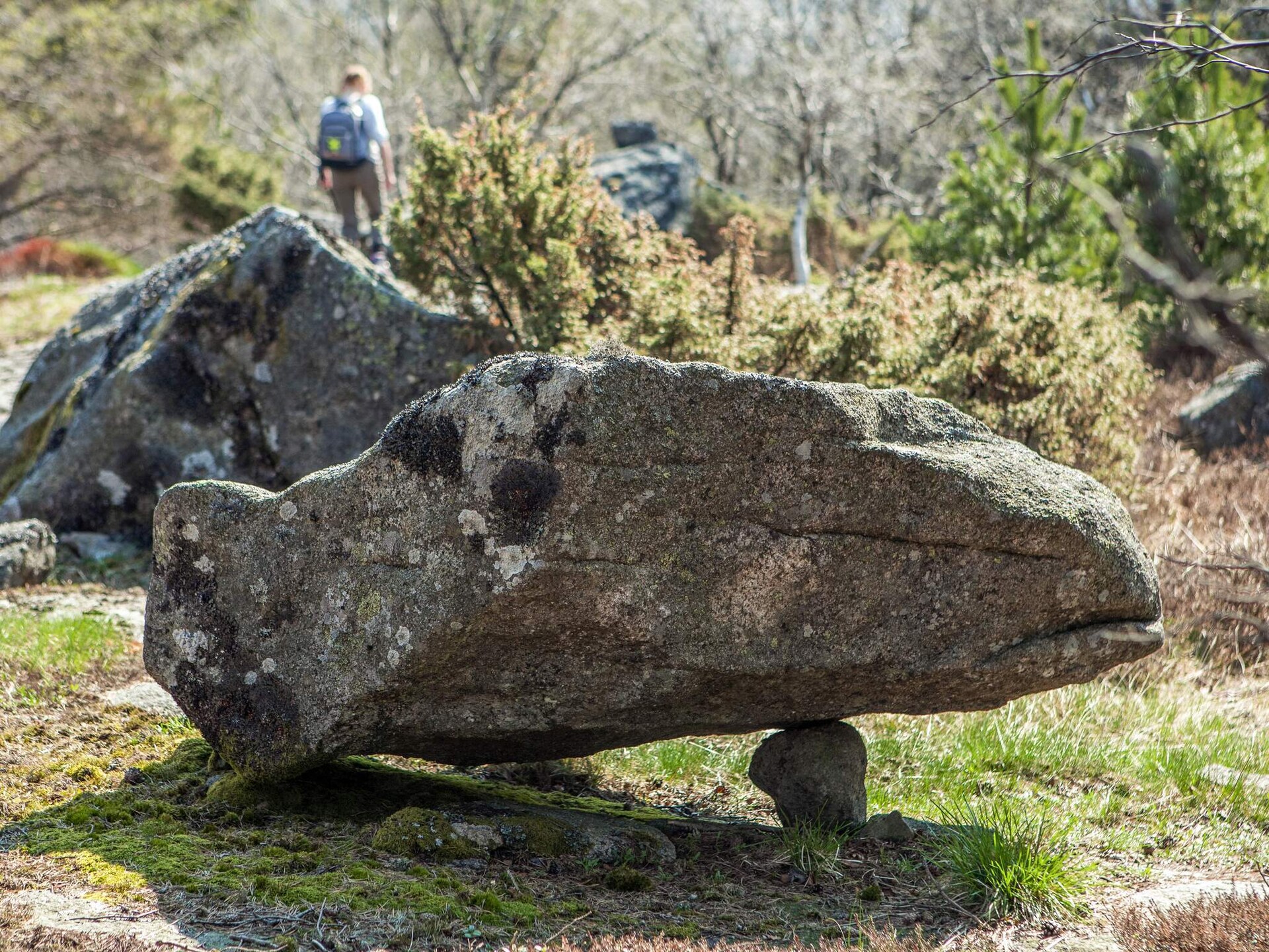 Traditioneel vakantiehuis Beritbu met panoramisch uitzicht bij Lyngdal - foto 8