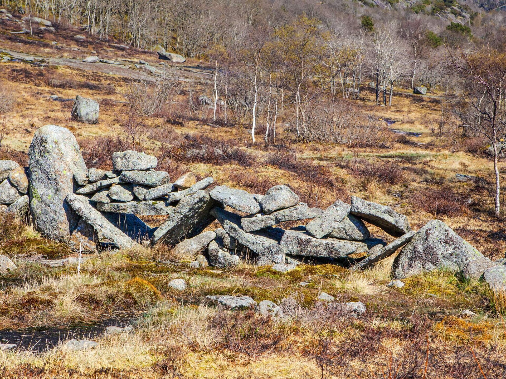 Traditioneel vakantiehuis Beritbu met panoramisch uitzicht bij Lyngdal - foto 17