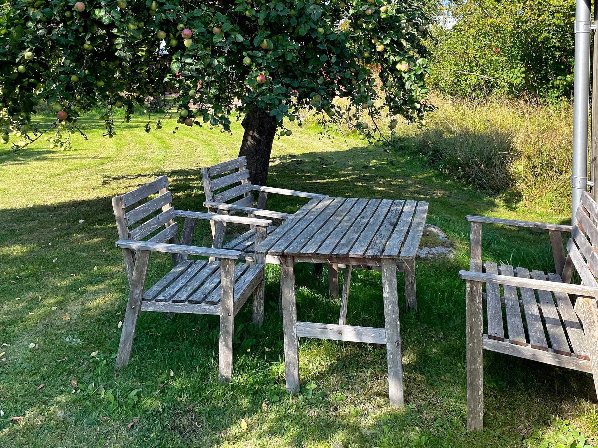 Vakantiehuis op 850 m van zee in Borgholm - foto 10