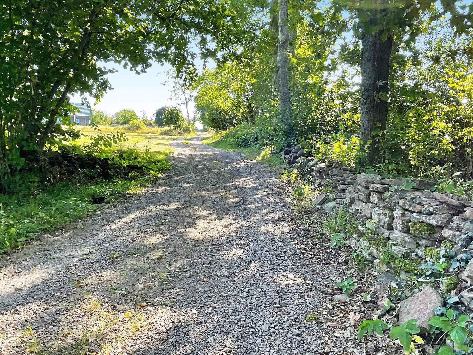 Vakantiehuis op 850 m van zee in Borgholm - foto 14