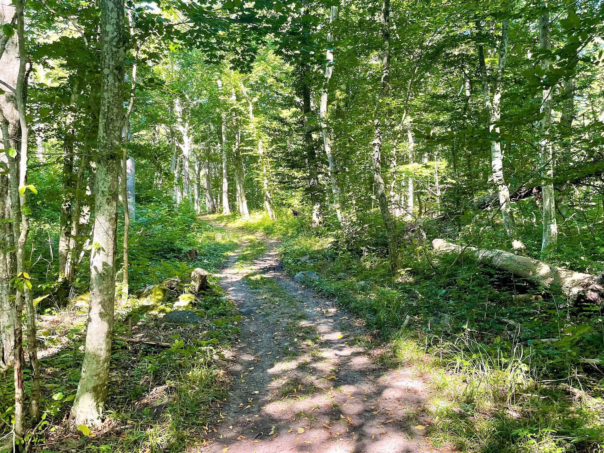 Vakantiehuis op 850 m van zee in Borgholm - foto 18