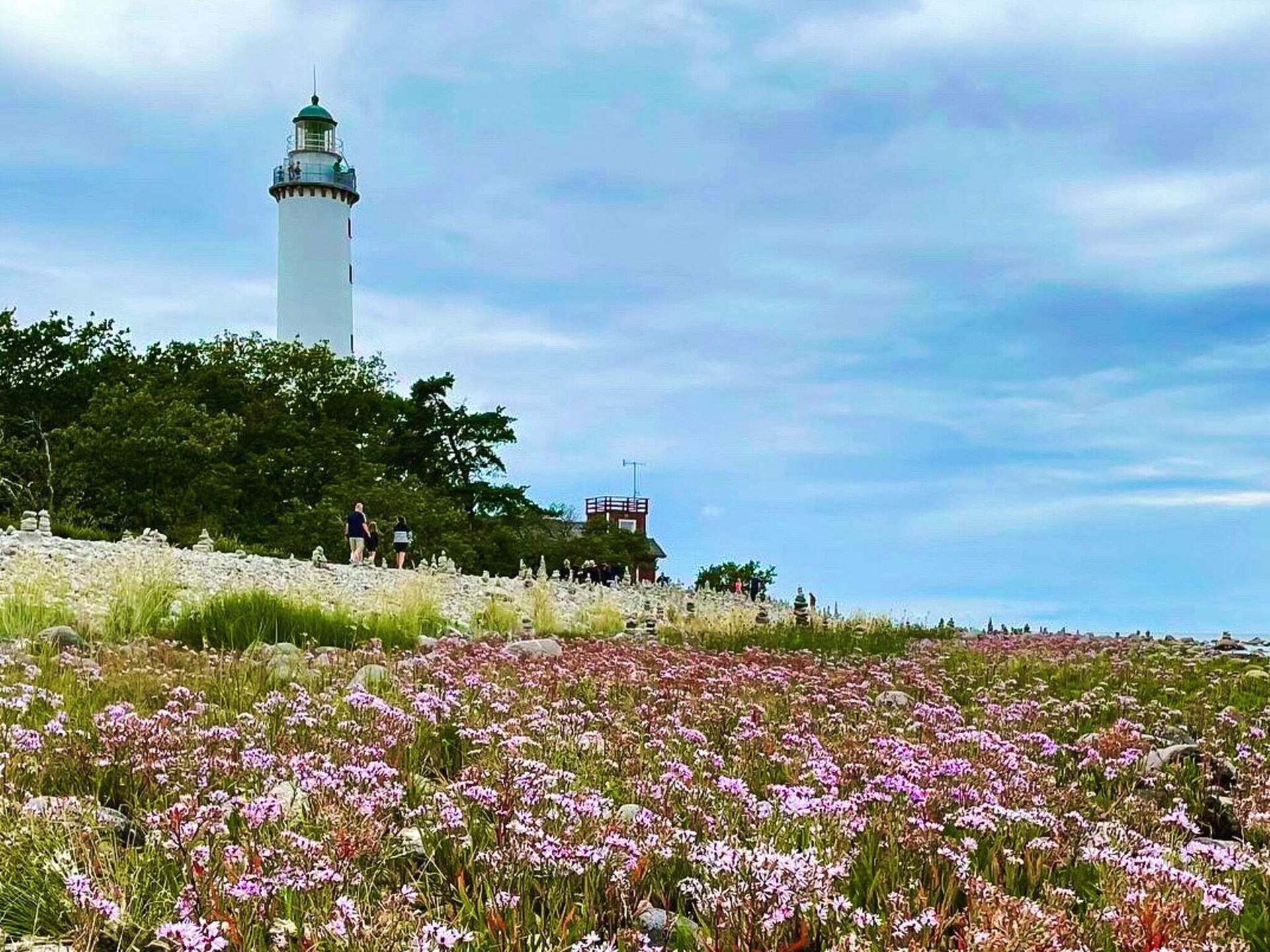 Knus vakantiehuis bij de witte stranden van Böda, Öland - foto 13