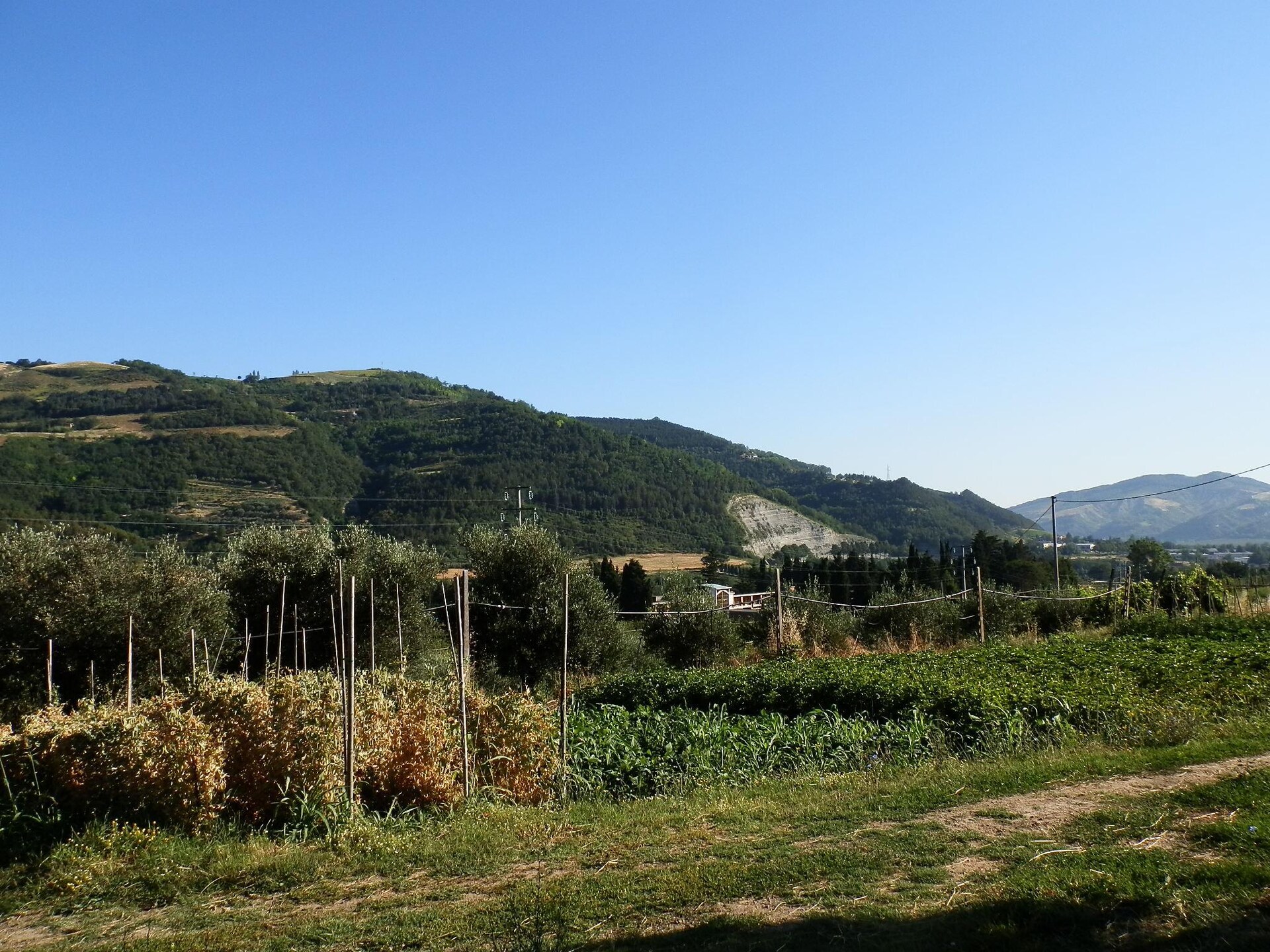 Authentiek vakantiehuis Pozzo in de Toscaans-Romaanse heuvels bij Modigliana - foto 32