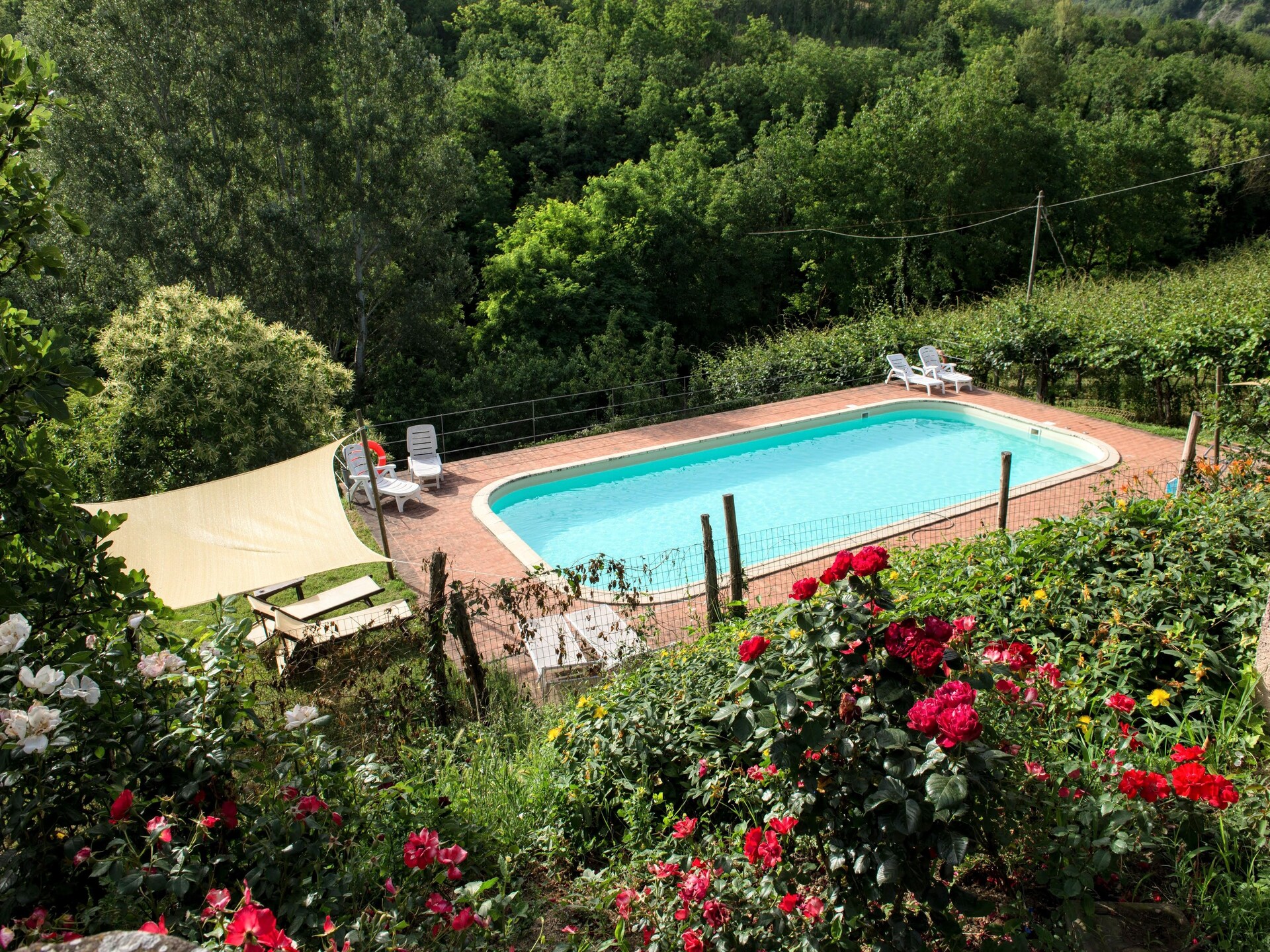 Authentiek vakantiehuis Pozzo in de Toscaans-Romaanse heuvels bij Modigliana - foto 2