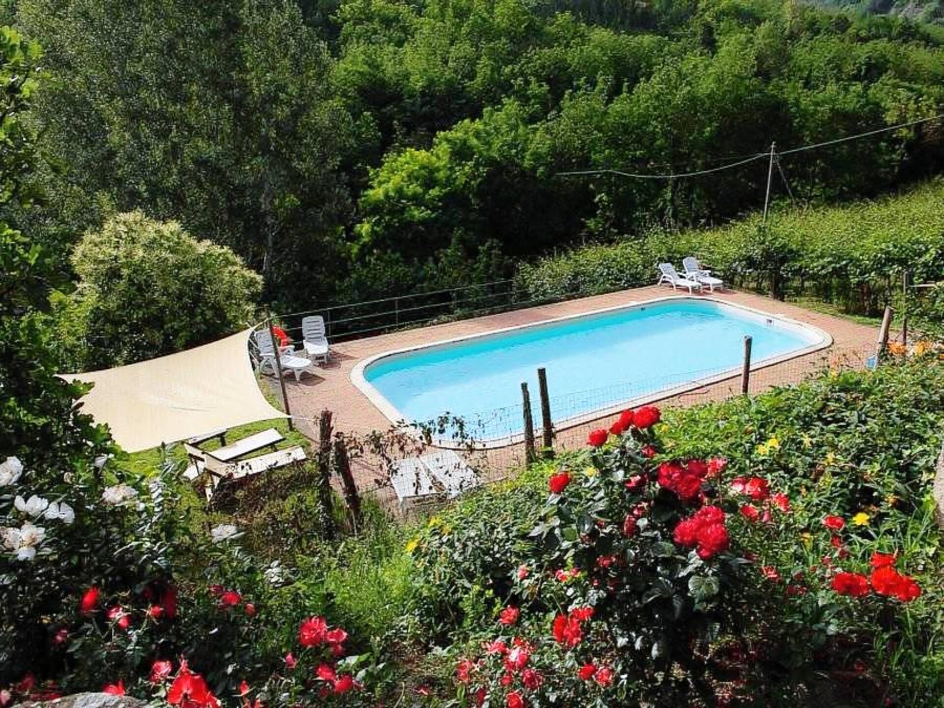 Authentiek Toscaans vakantiehuis met privétuin en panoramisch uitzicht - foto 12