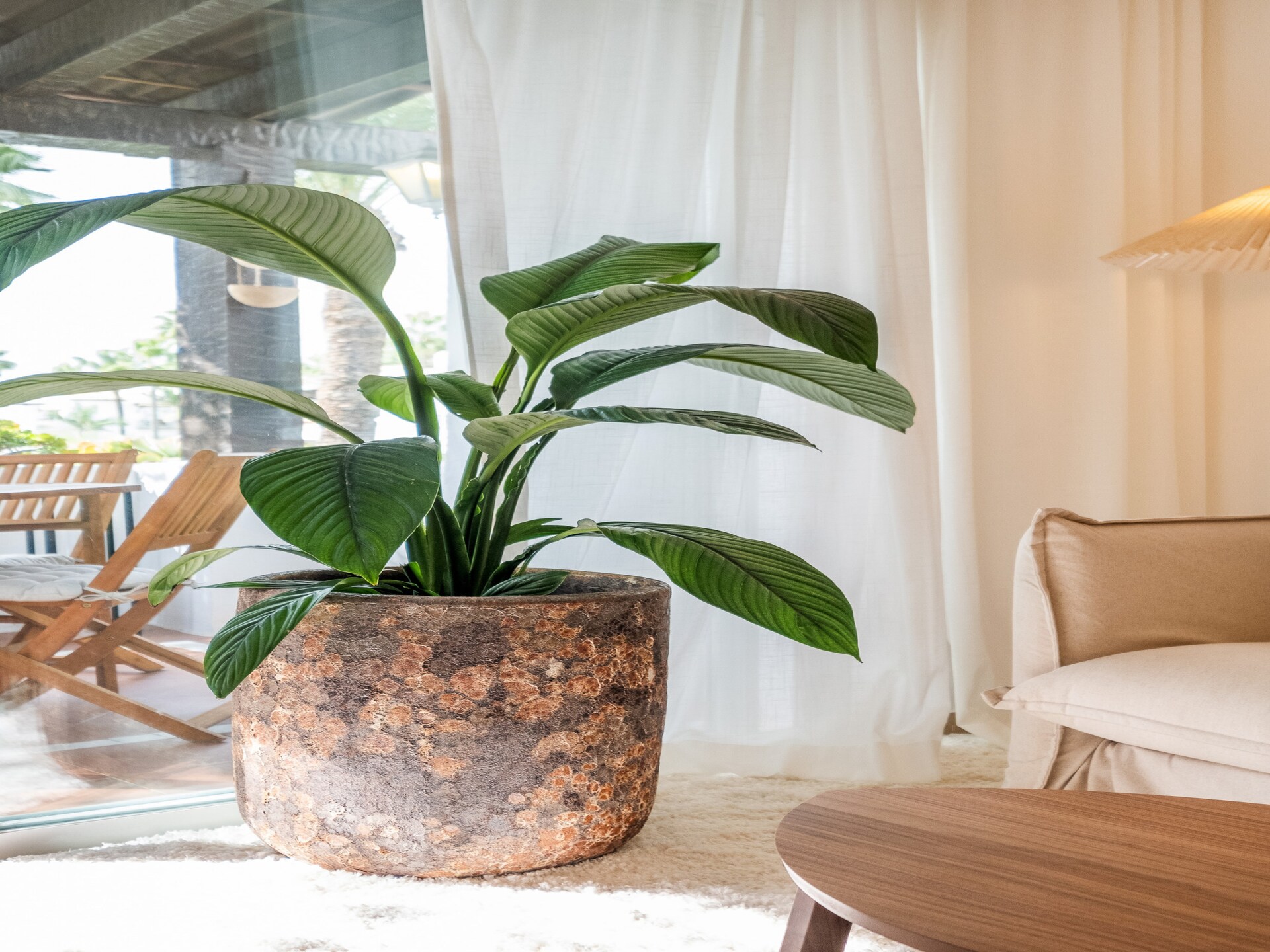 Knus appartement aan de golfbaan in Estepona, strand op 80 meter - foto 32