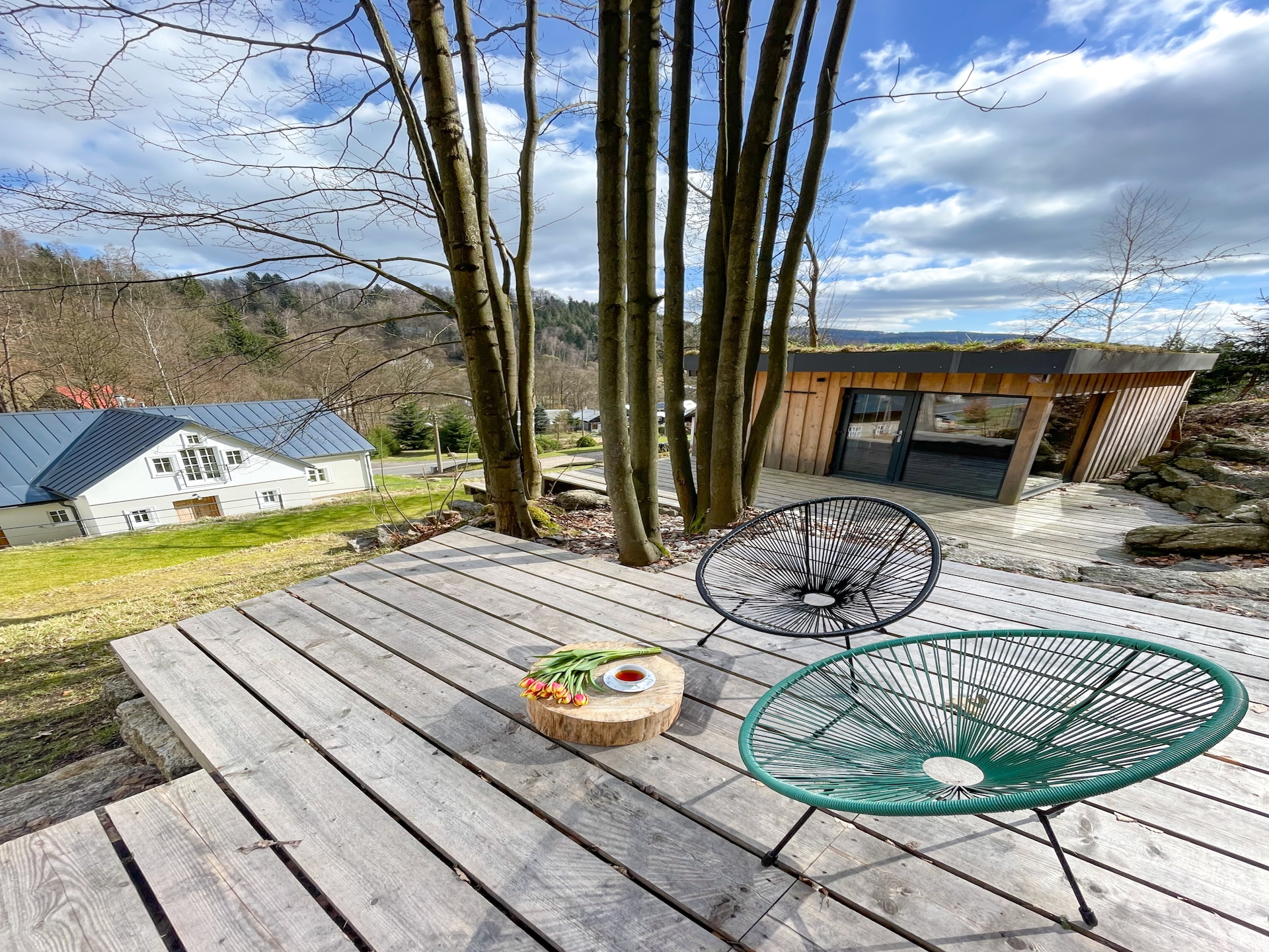 11-persoons villa met sauna in Desná - foto 34
