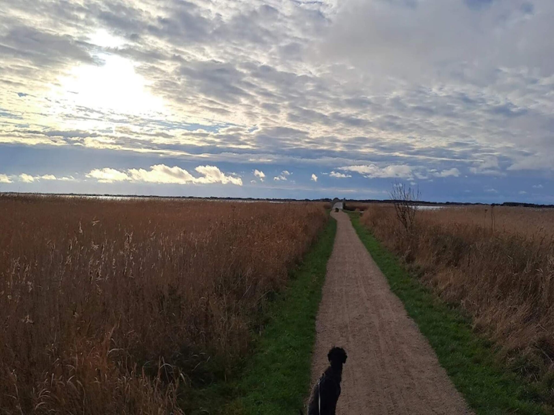 Sfeervol vakantiehuis op 280 meter van zee in Ringkøbing - foto 8