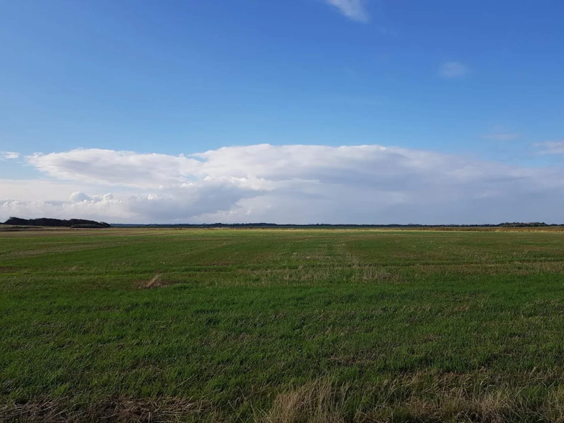 Sfeervol vakantiehuis op 280 meter van zee in Ringkøbing - foto 9