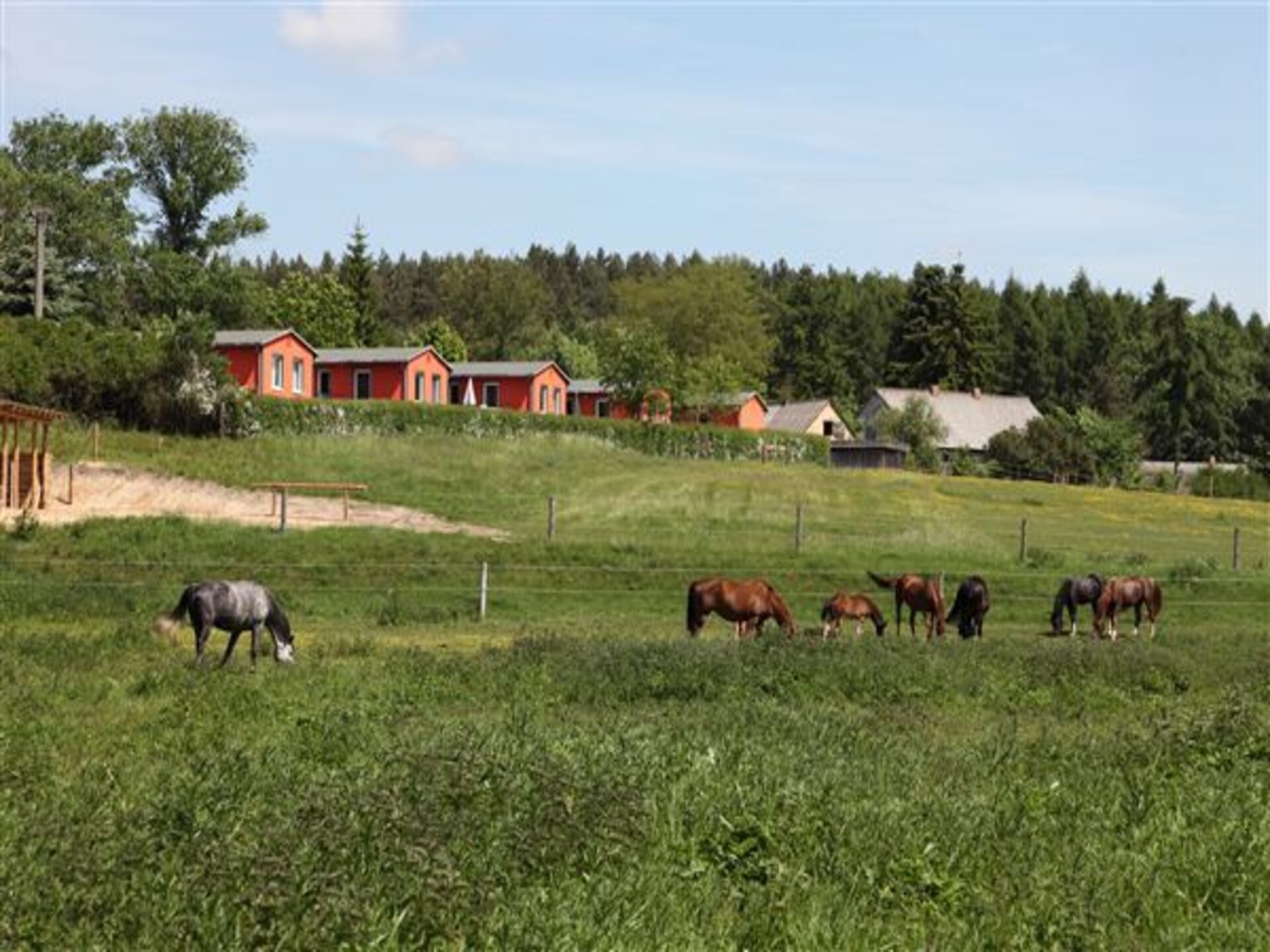 Rustgevend vakantiehuis voor 4 personen in Lohmen · 2 slk - foto 6