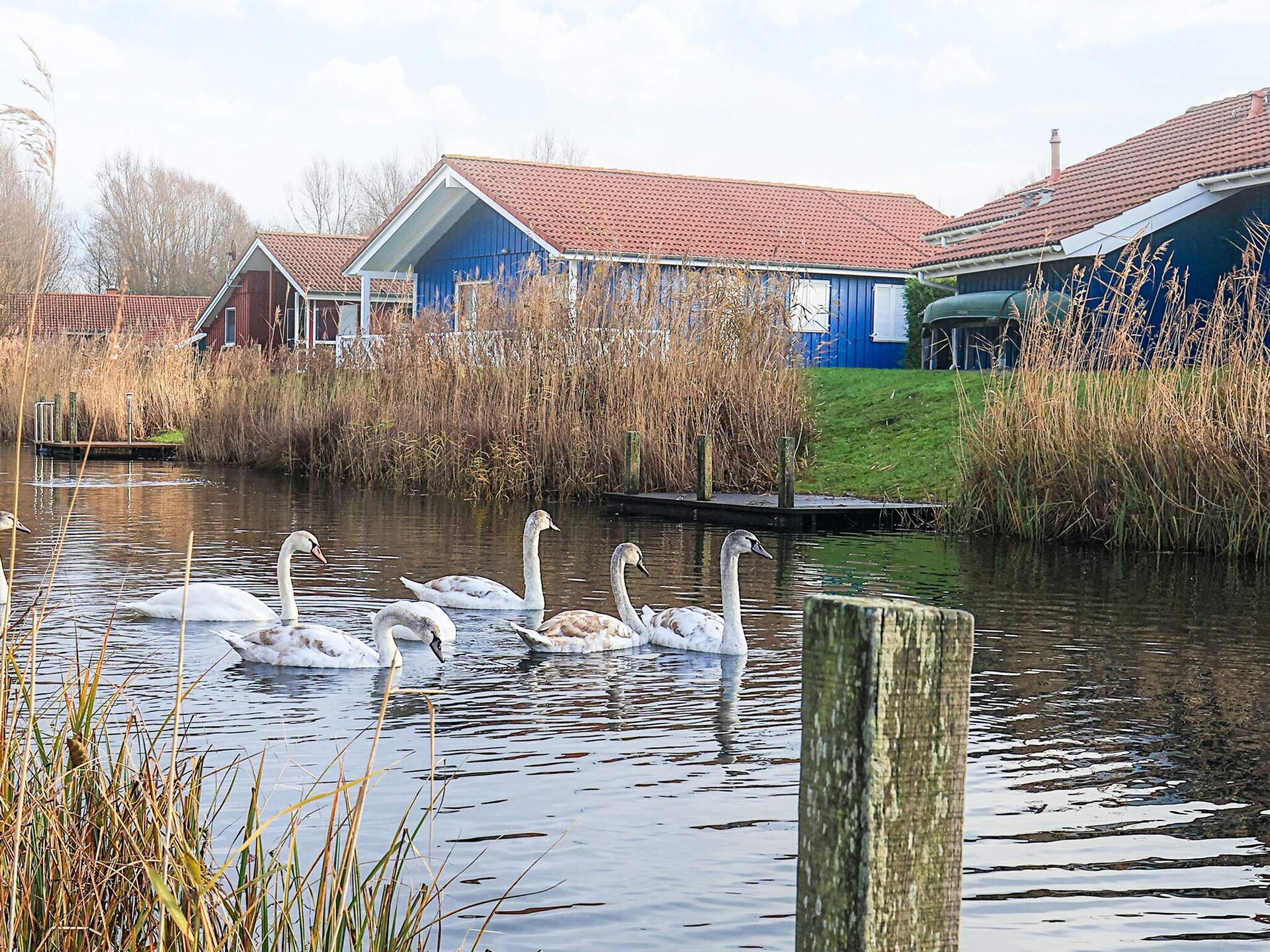 Vrijstaand vakantiehuis aan het meer met privézwembad en sauna in Otterndorf - foto 26