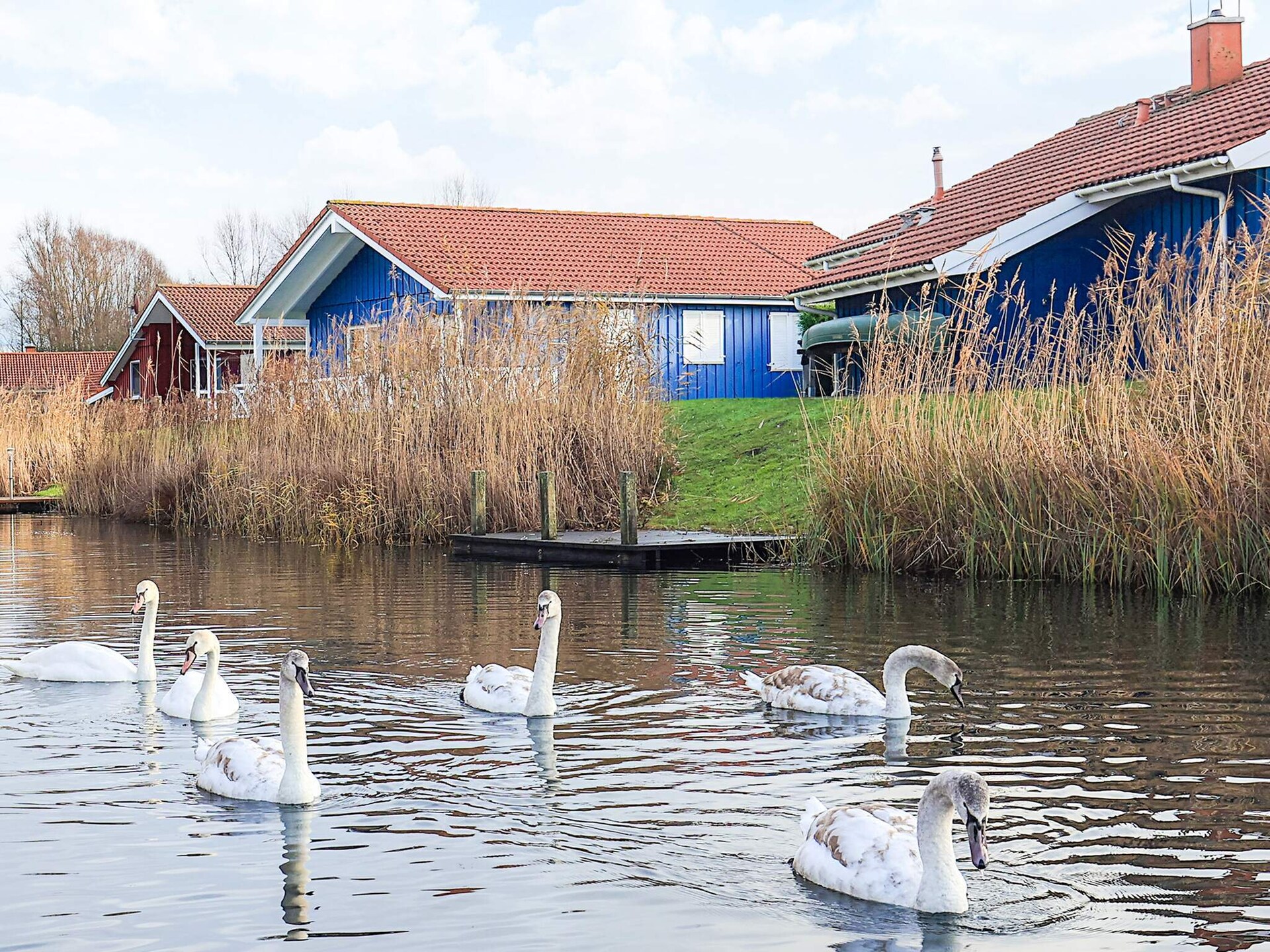 Vrijstaand vakantiehuis aan het meer met privézwembad en sauna in Otterndorf - foto 28