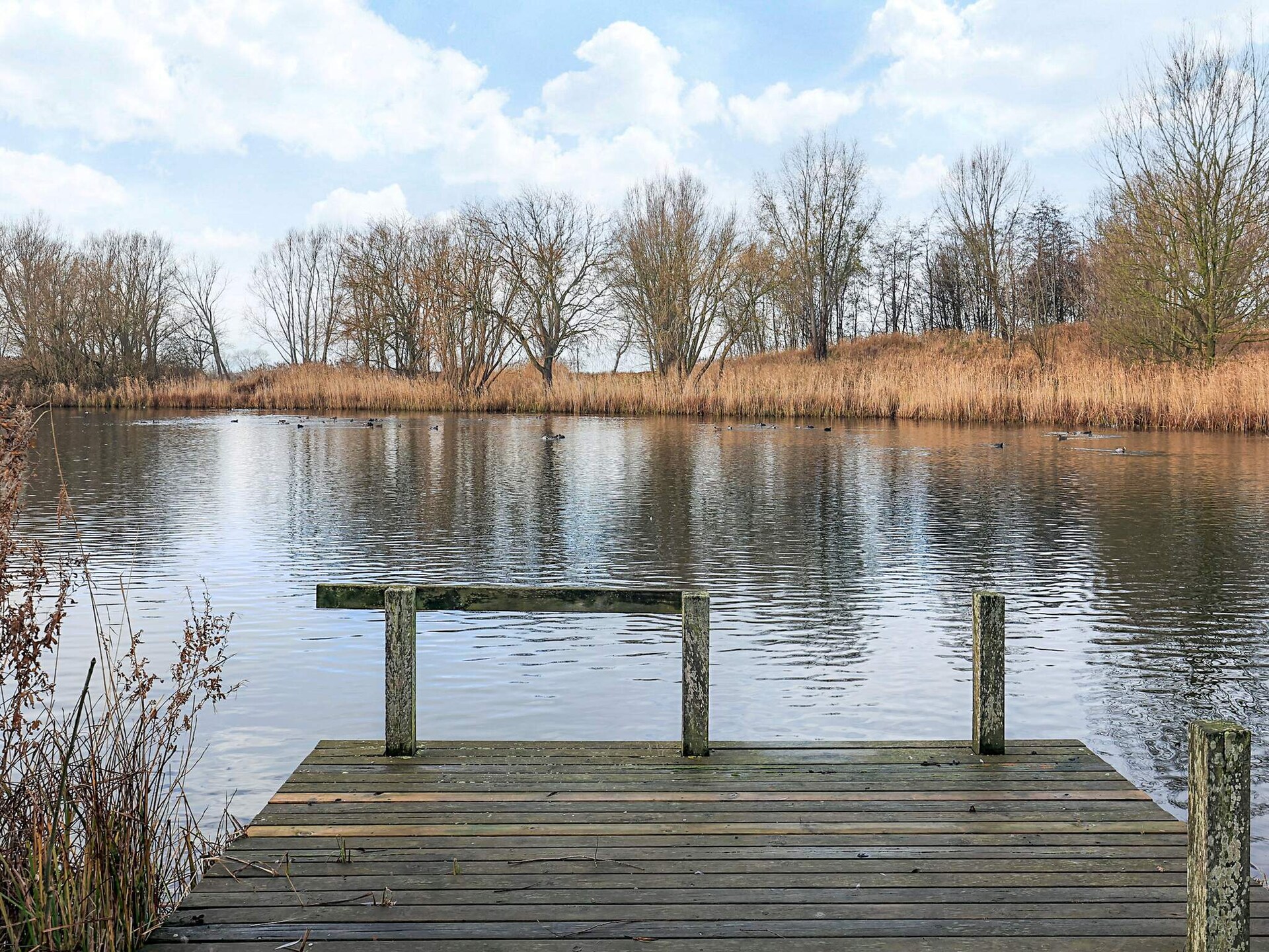 Aan het meer: ruim vakantiehuis in Ottendorf voor 10 personen · 151 m² - foto 32