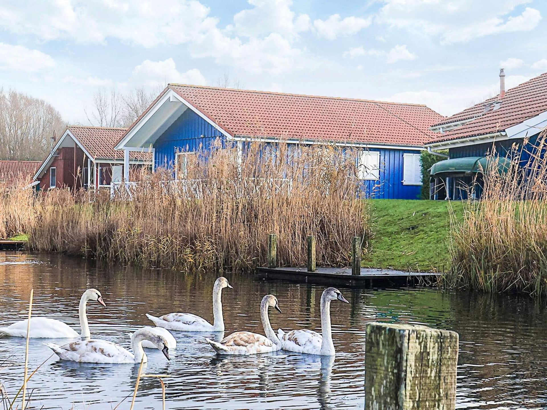 Aan het meer: ruim vakantiehuis in Ottendorf voor 10 personen - foto 1