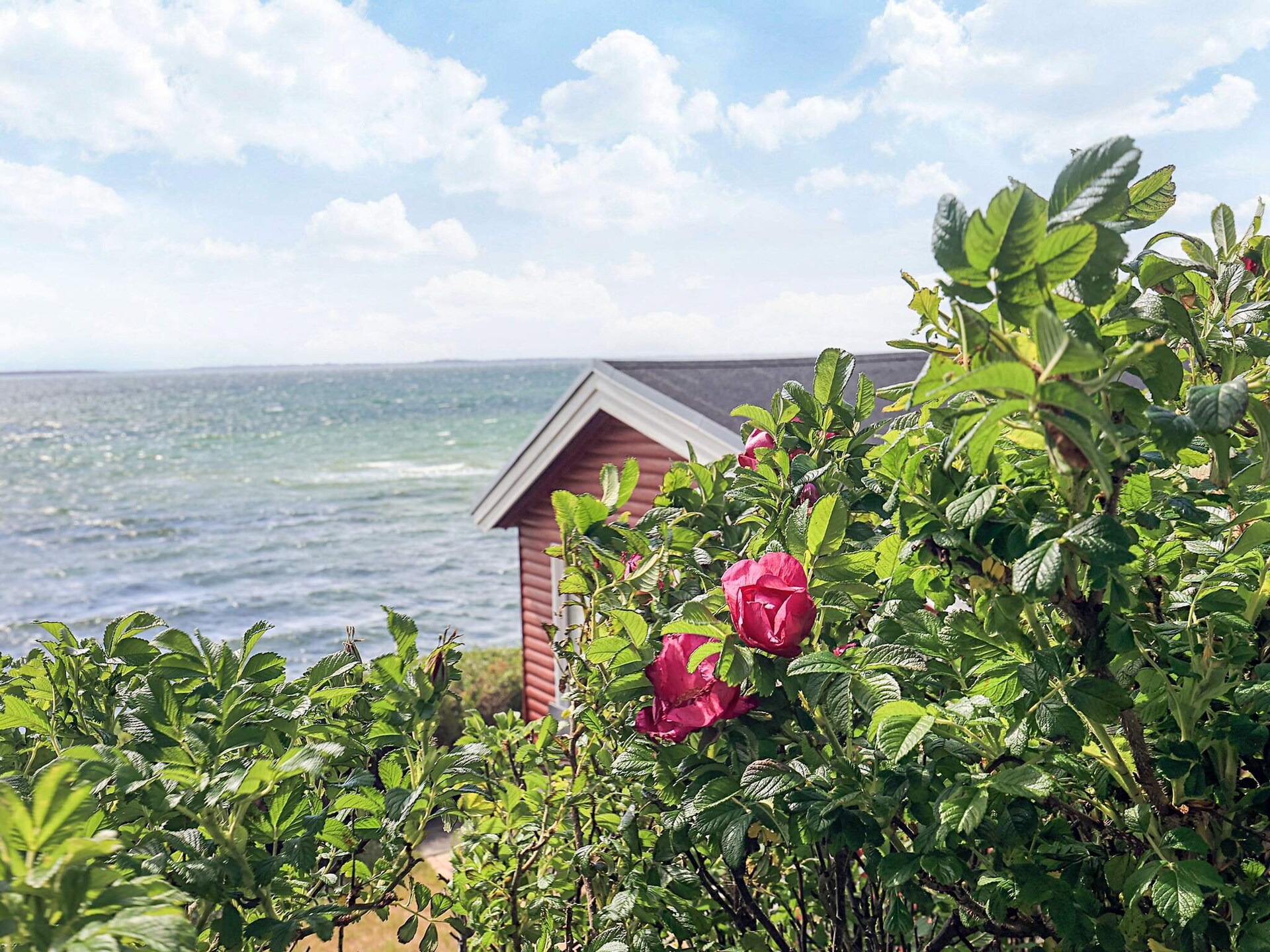 Vrijstaand vakantiehuis aan het water met panoramisch uitzicht op Funen - foto 22