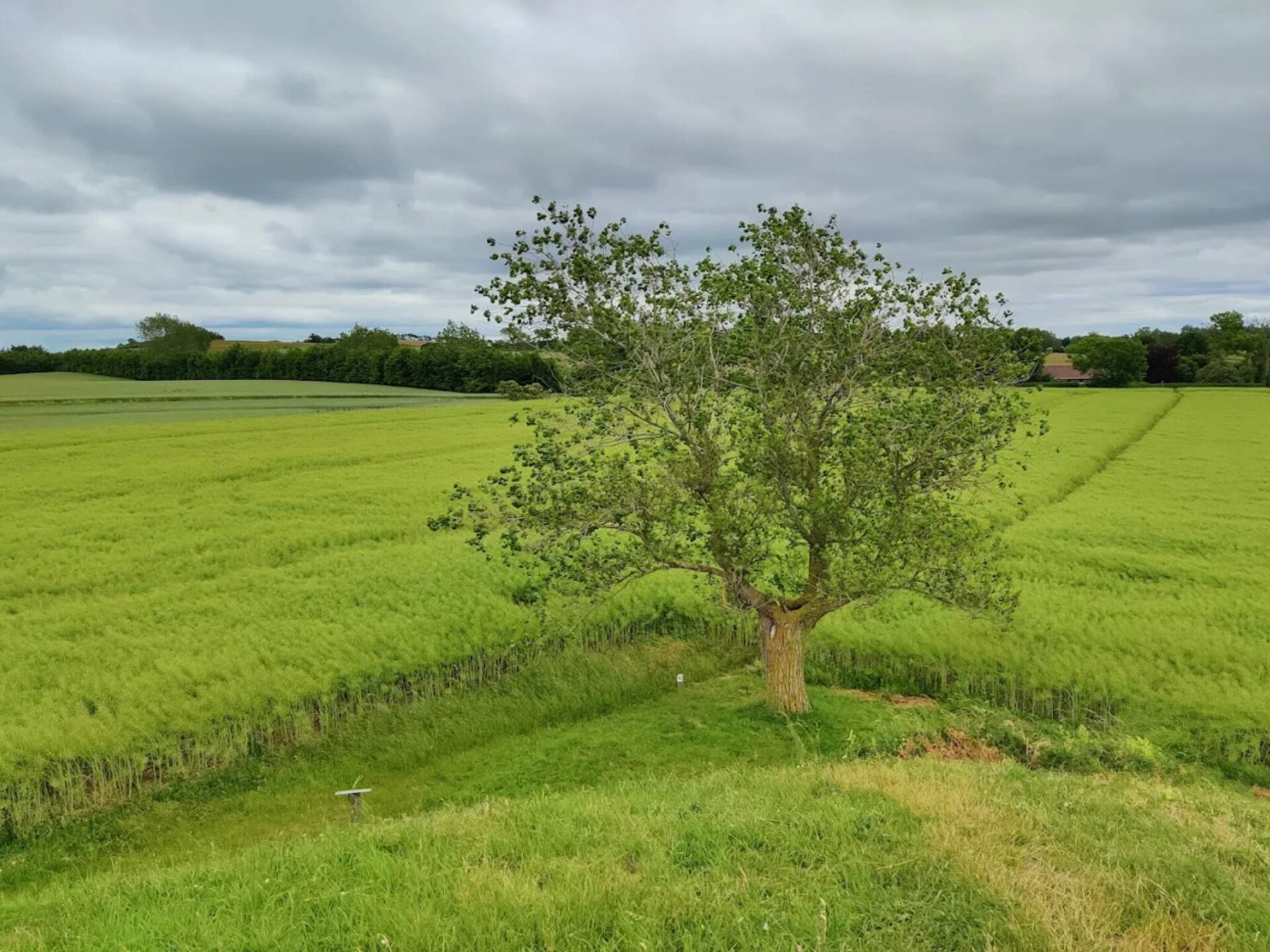 Vrijstaand vakantiehuis aan het water met panoramisch uitzicht op Funen - foto 7